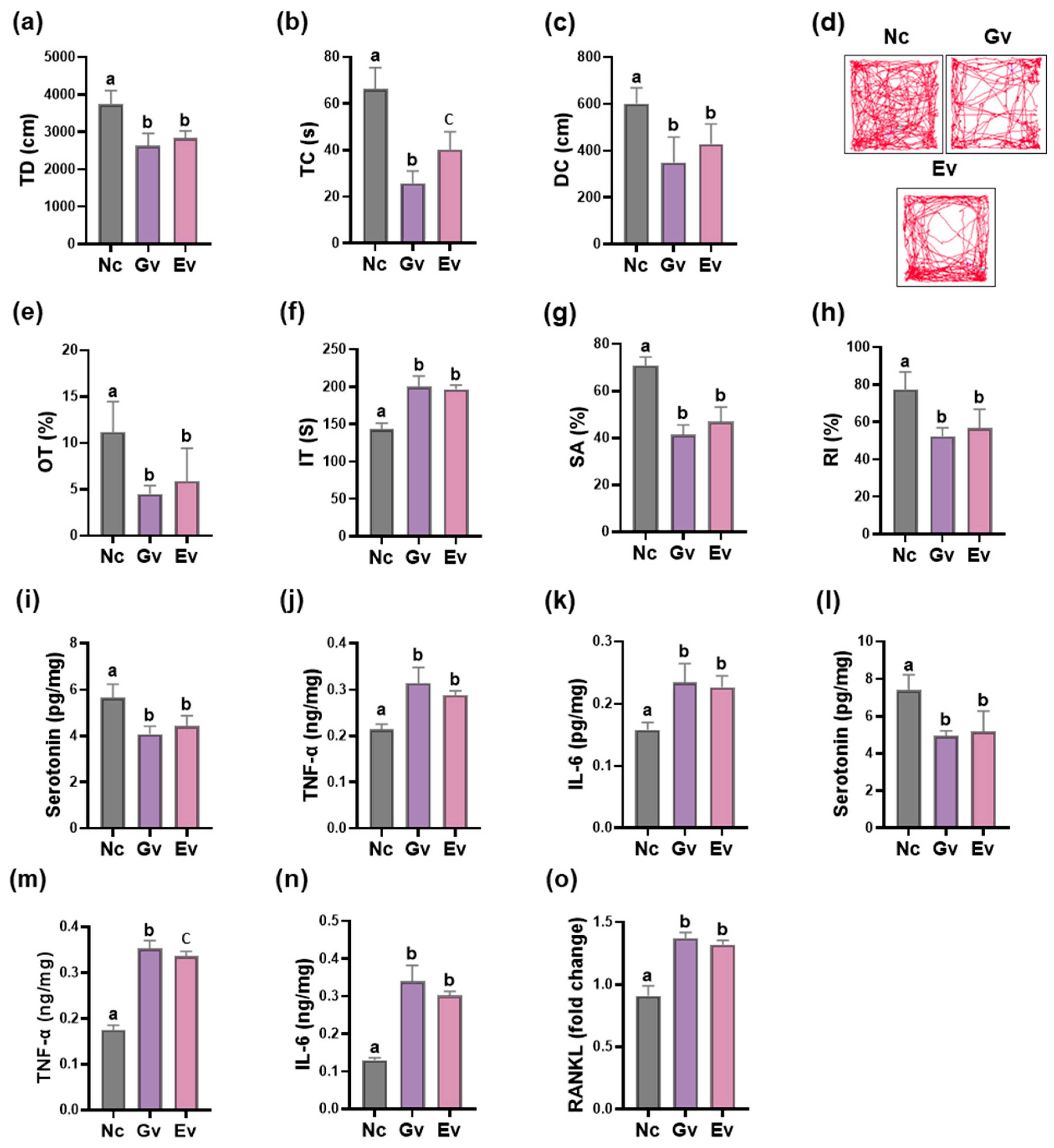 Microorganisms 13 00955 g004