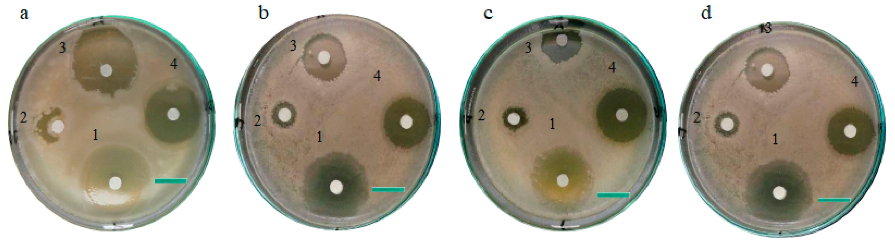 Microorganisms 13 00956 g007