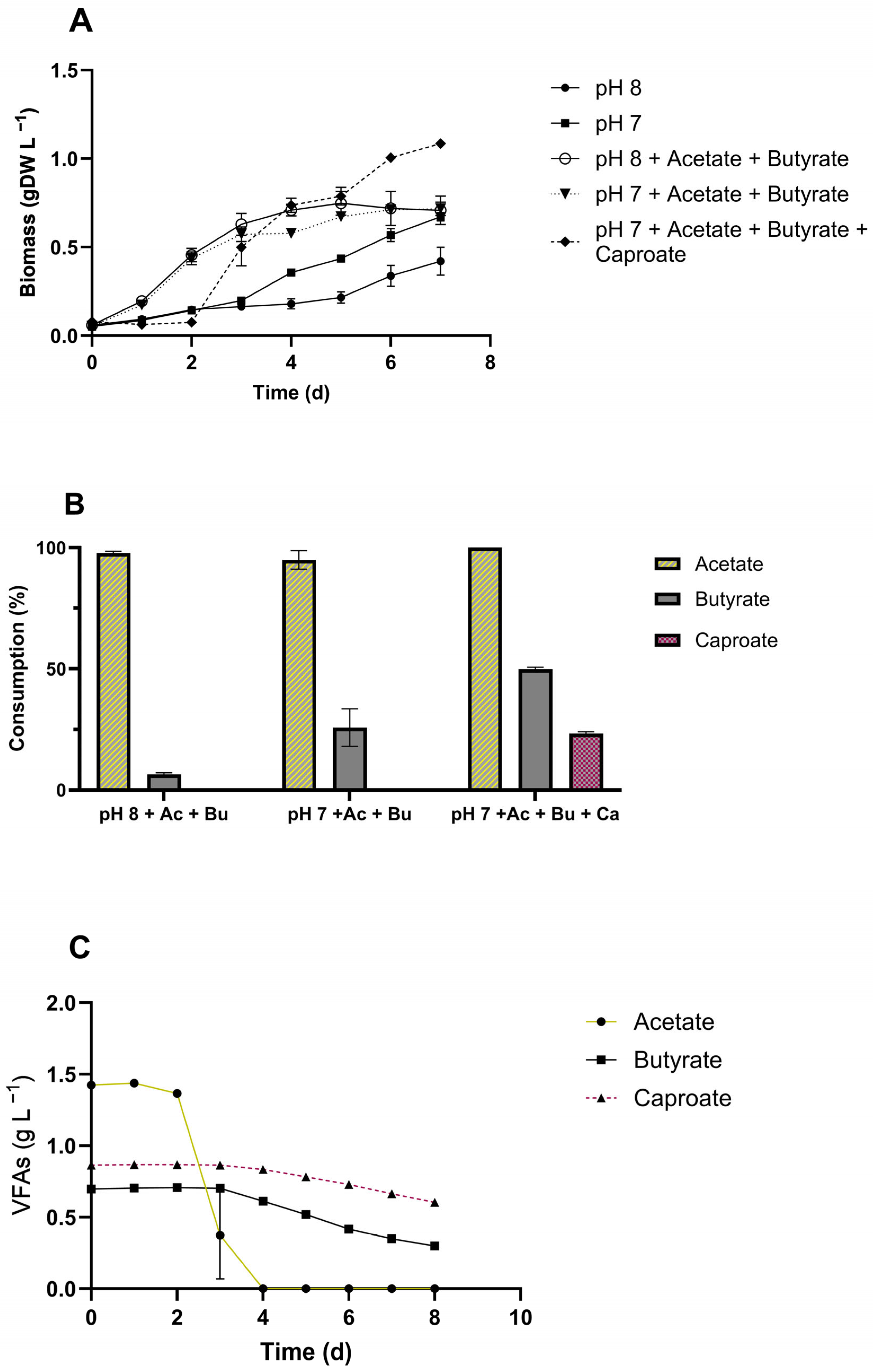 Microorganisms 13 00961 g004