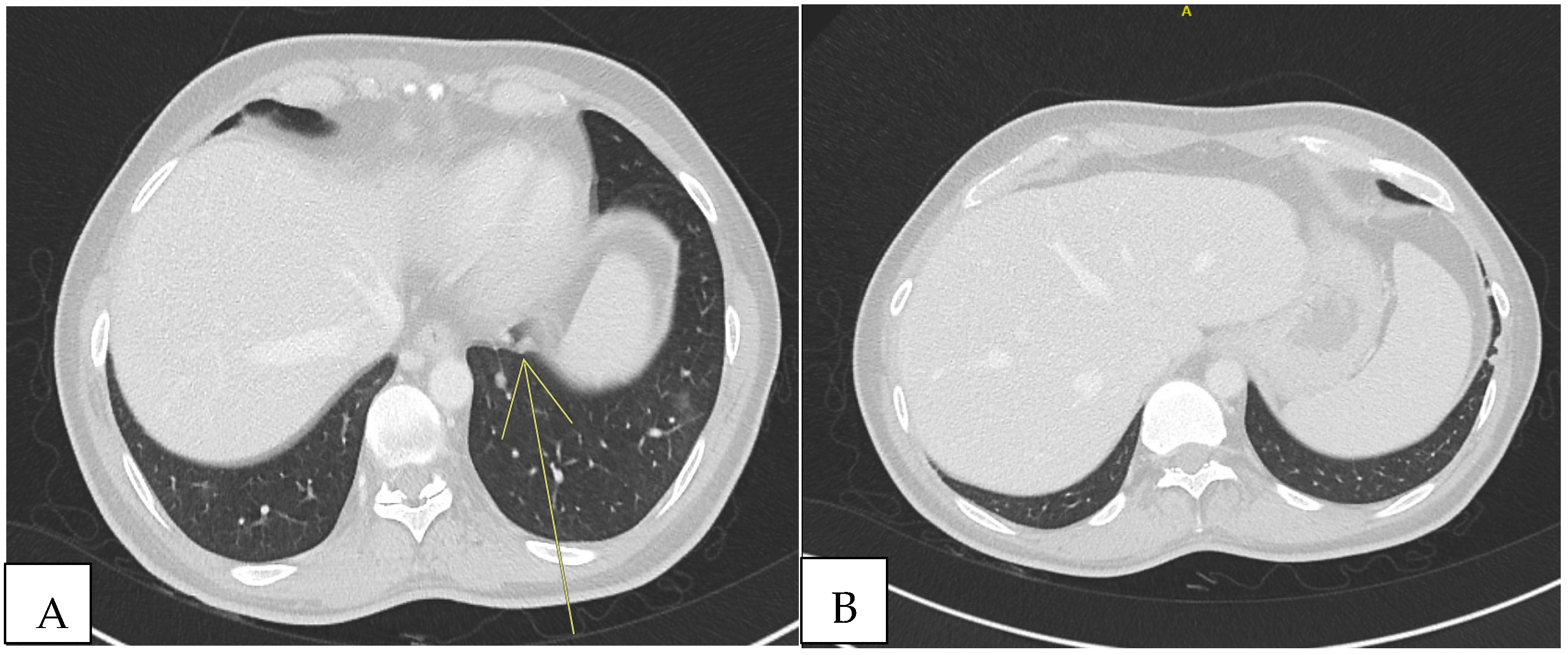 Microorganisms 13 00968 g001