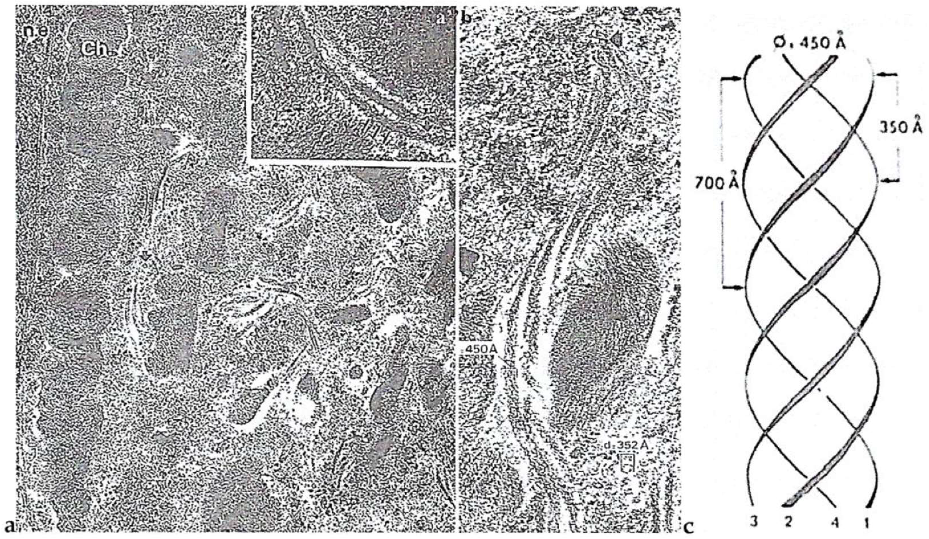 Microorganisms 13 00969 g005