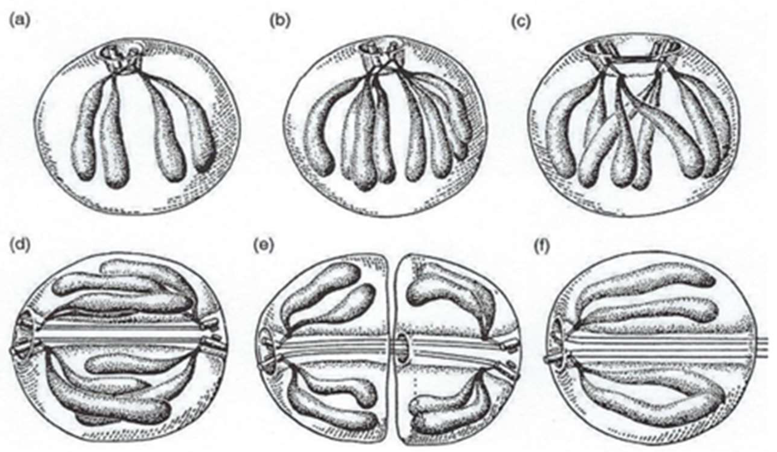 Microorganisms 13 00969 g019