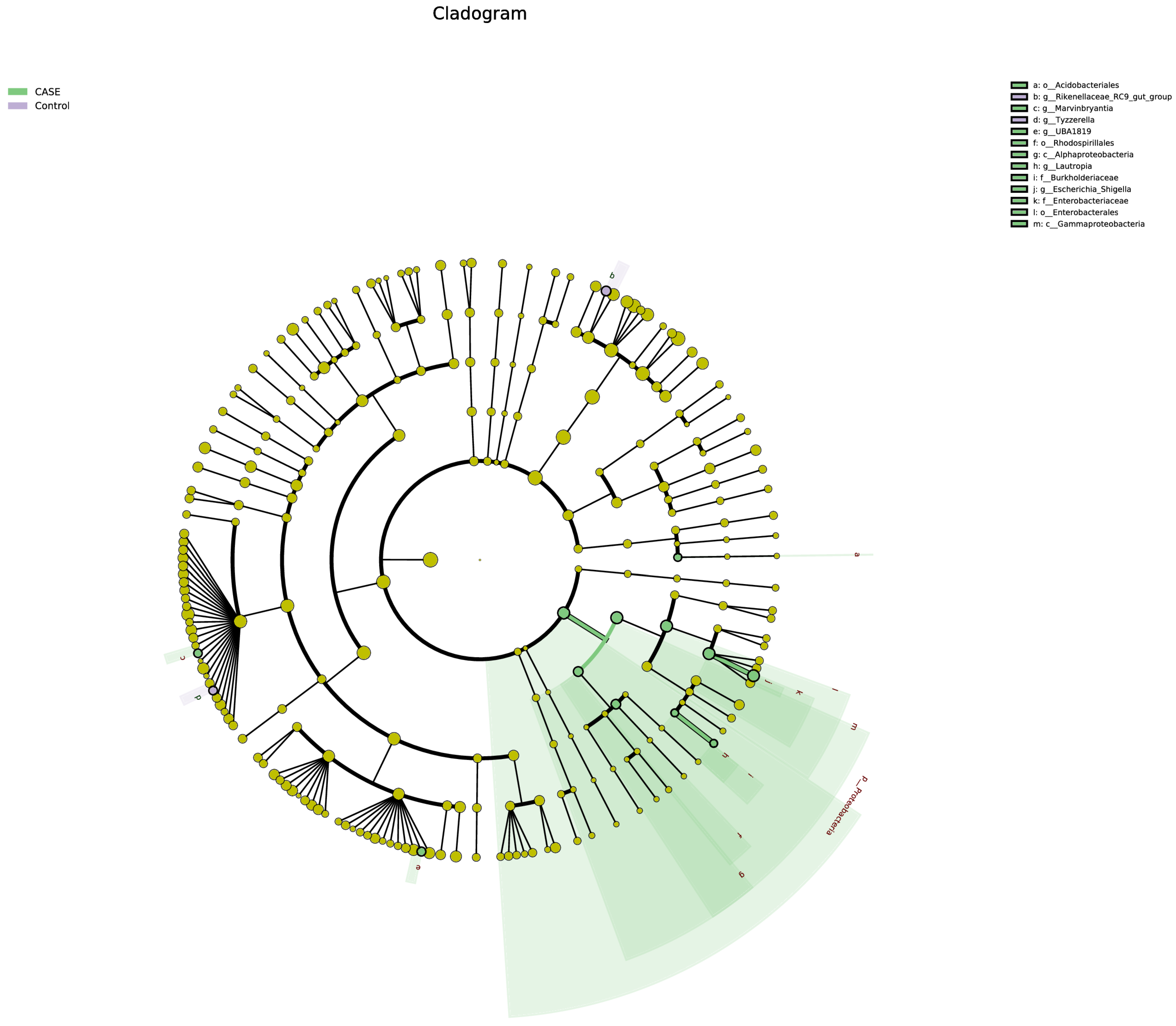 Microorganisms 13 00975 g009