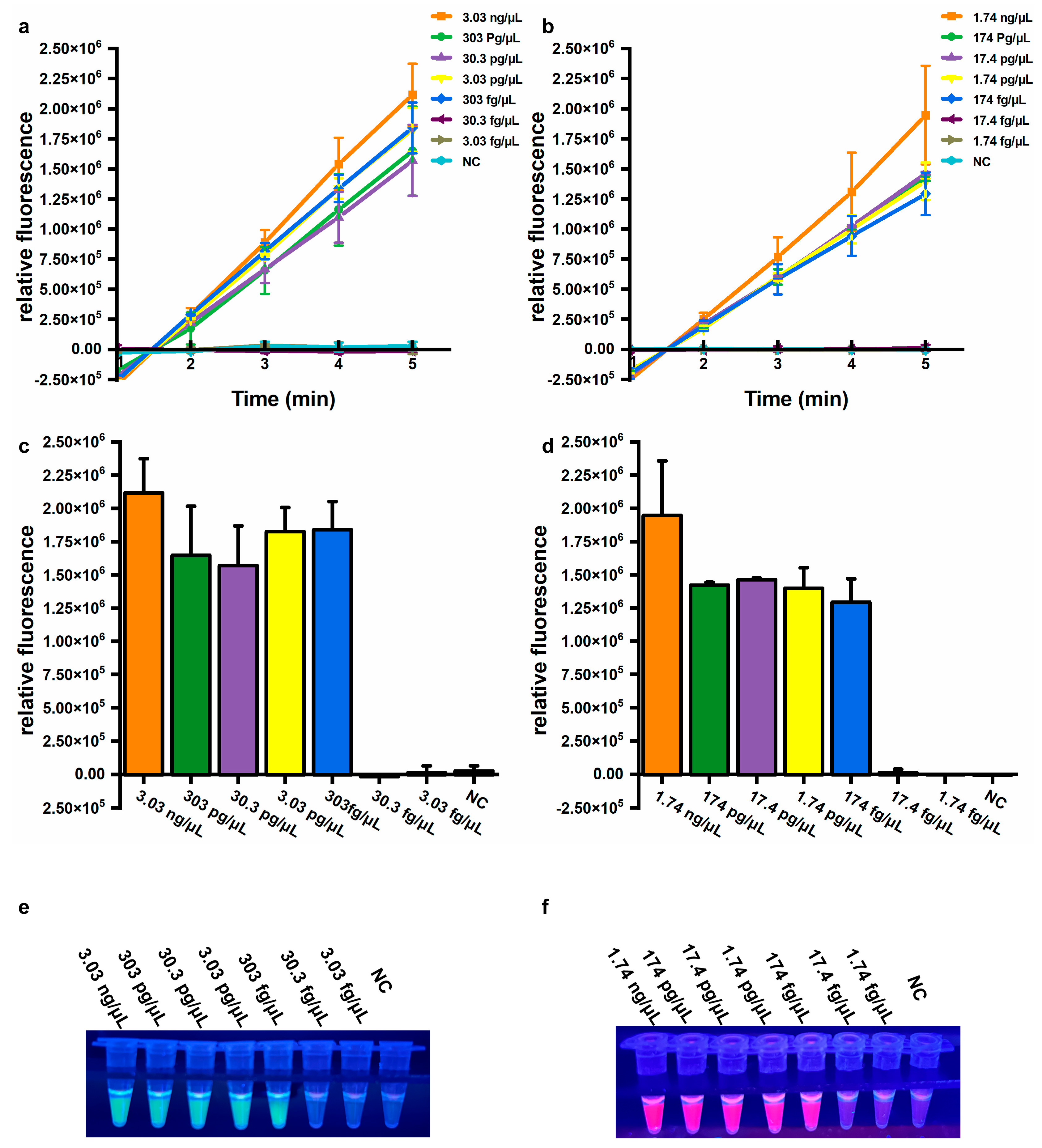 Microorganisms 13 00976 g004
