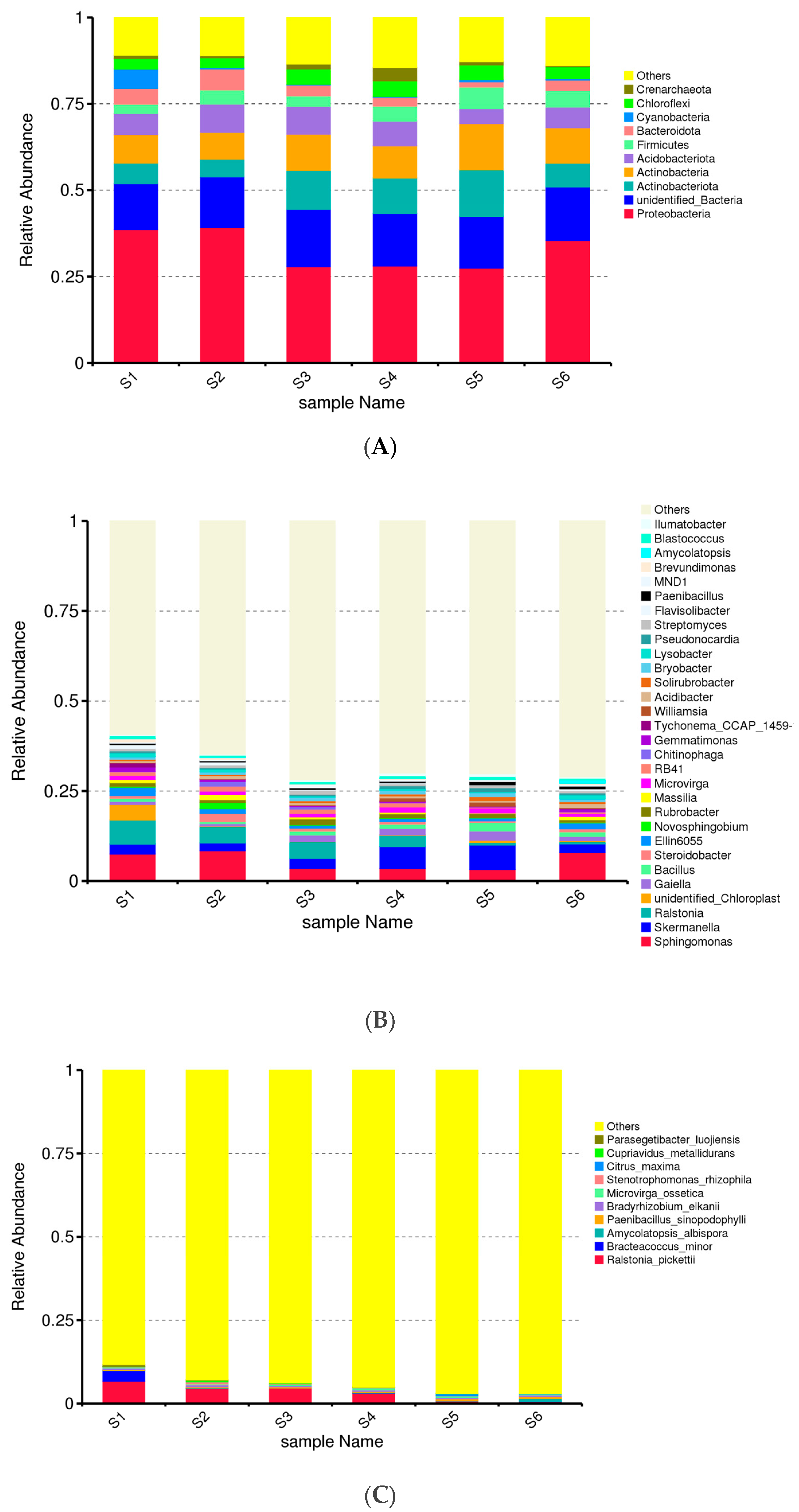 Microorganisms 13 00977 g001