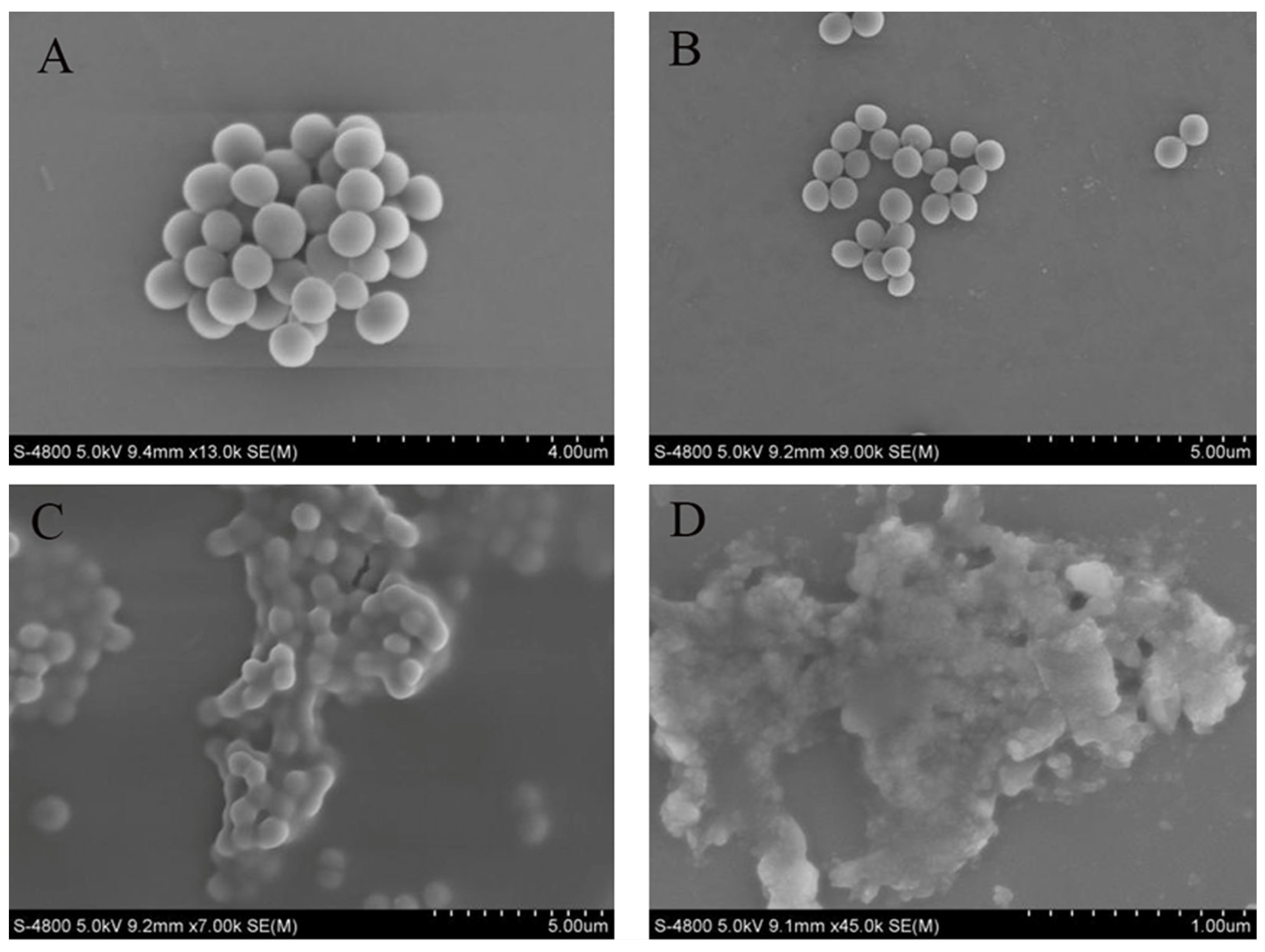 Microorganisms 13 00982 g007