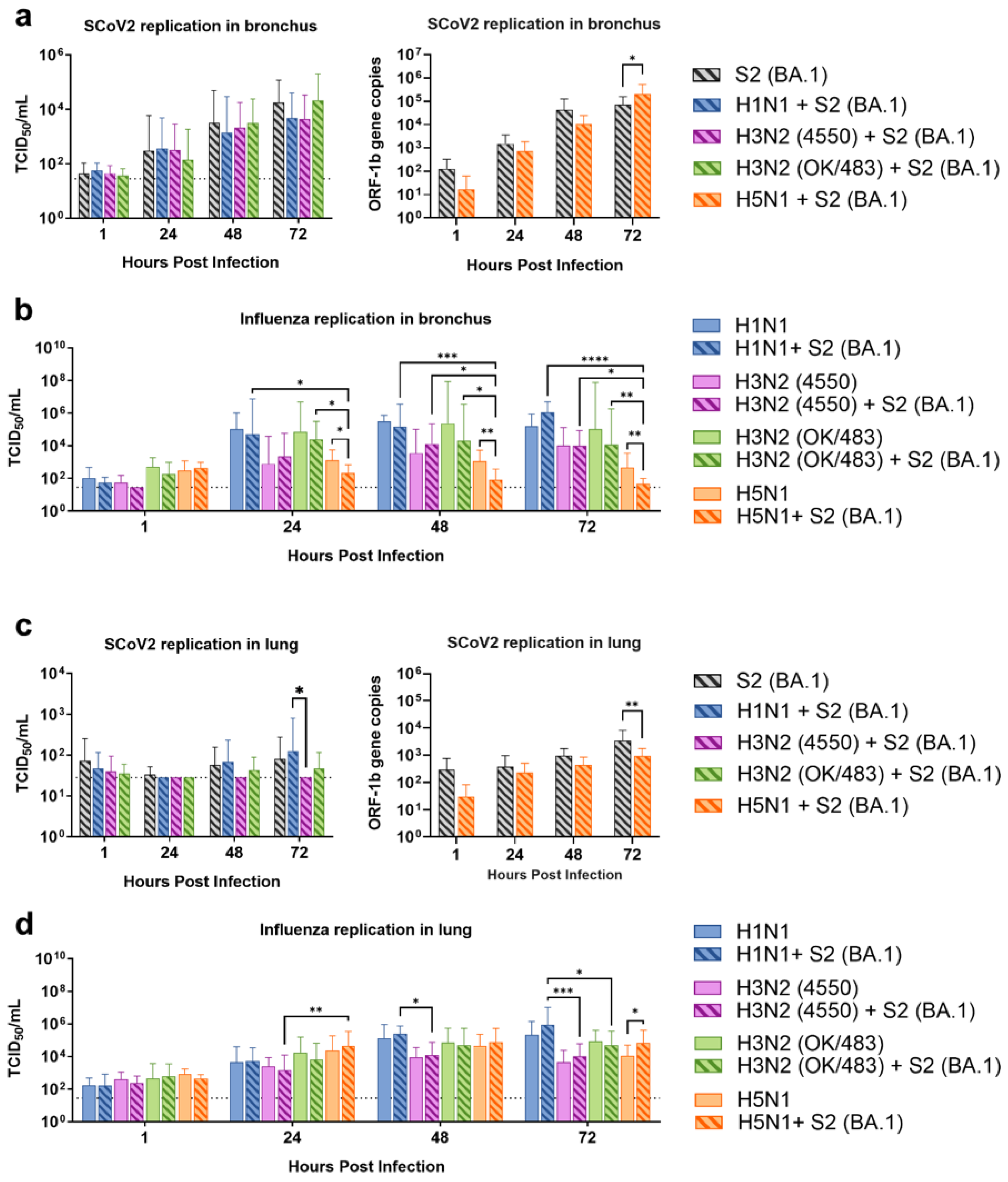 Microorganisms 13 00988 g001