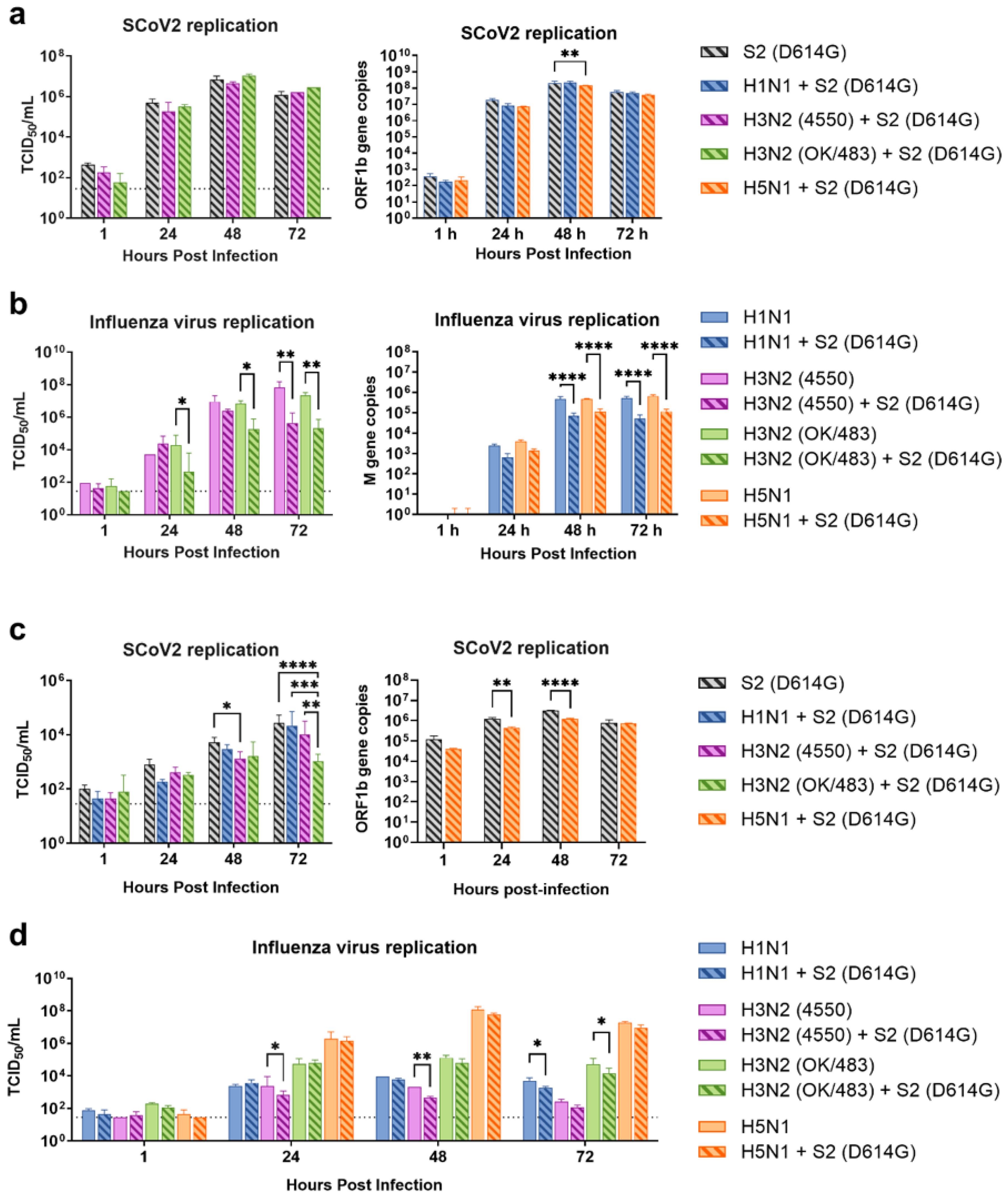 Microorganisms 13 00988 g003