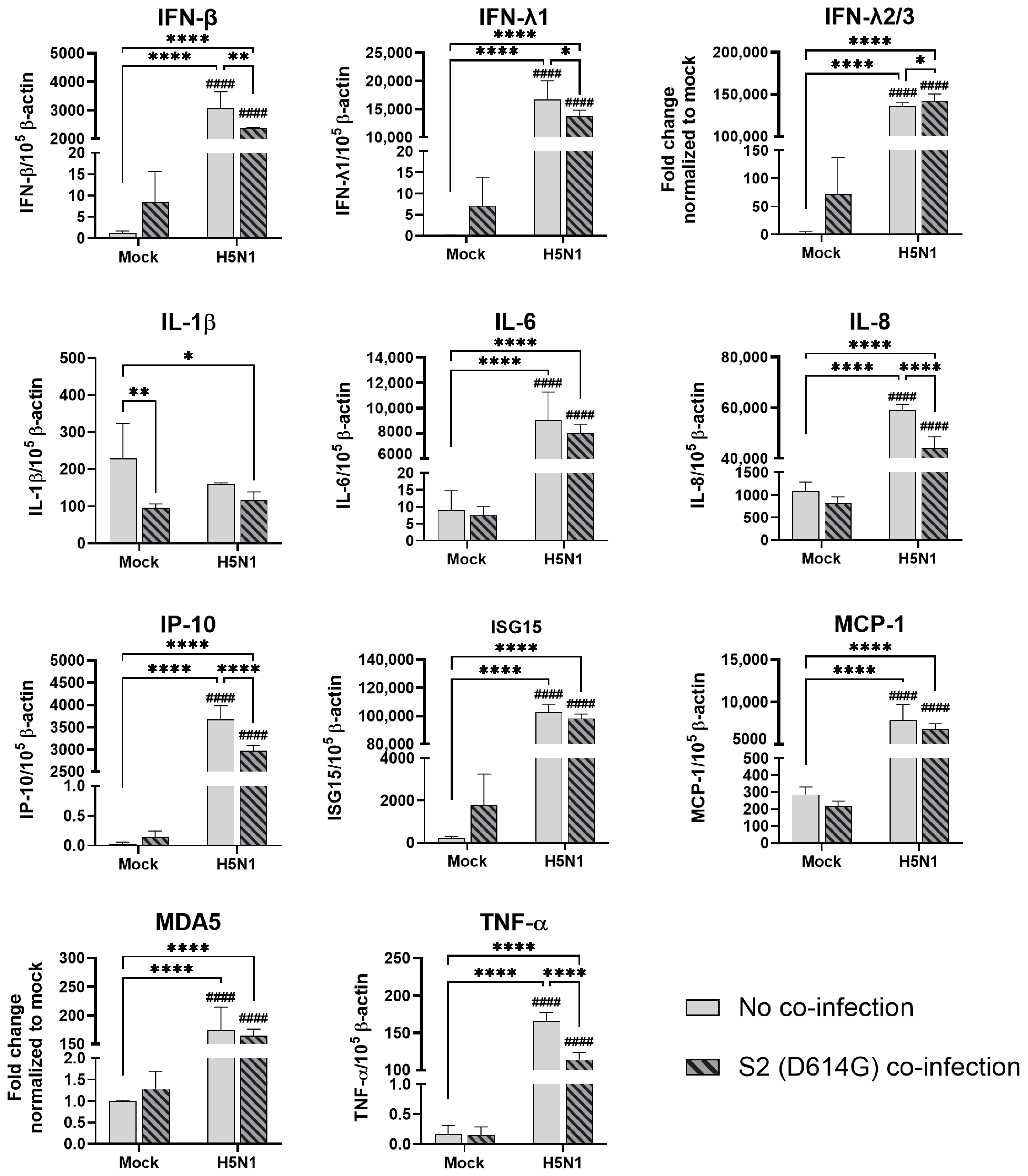 Microorganisms 13 00988 g008