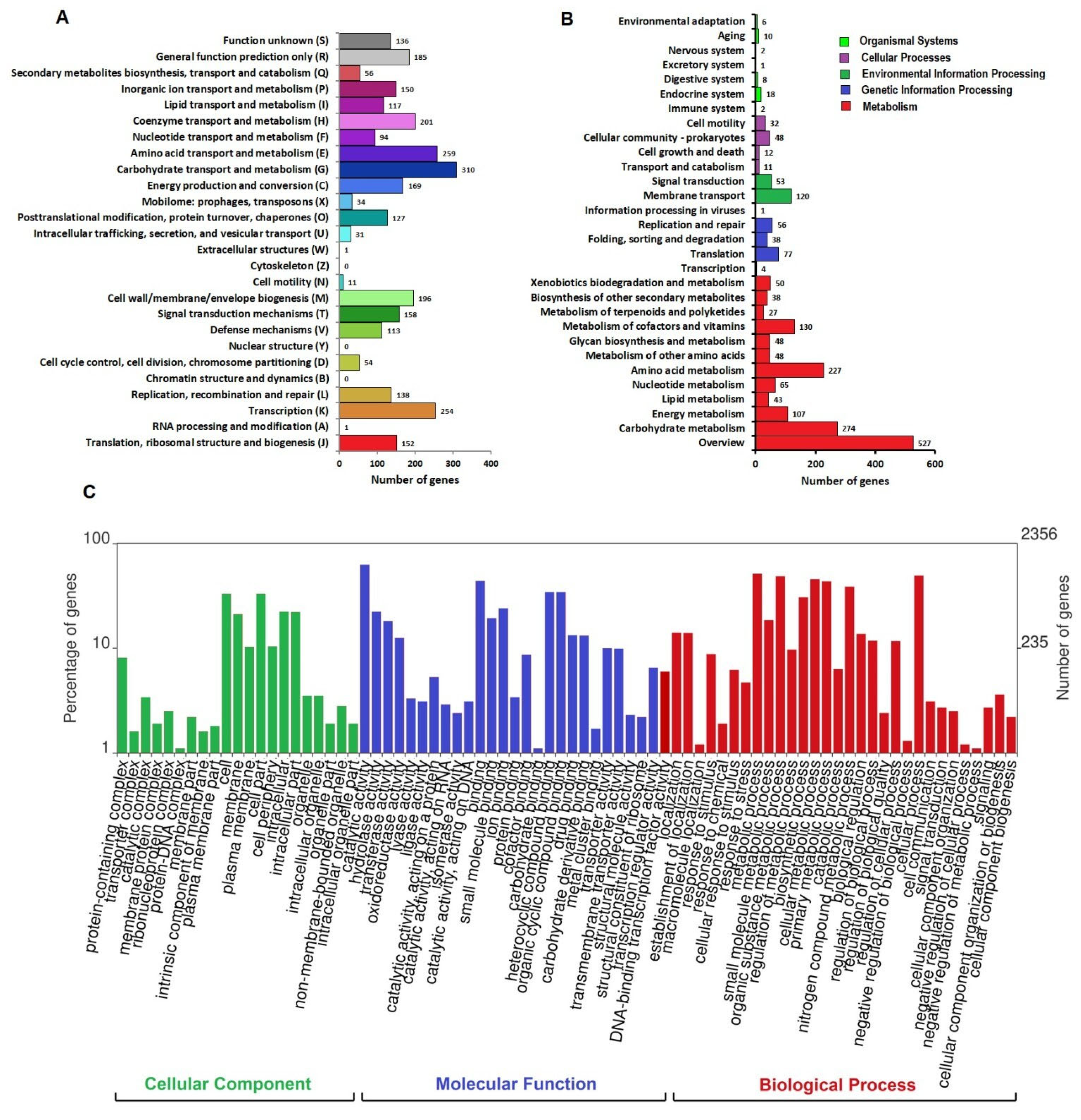 Microorganisms 13 00990 g005