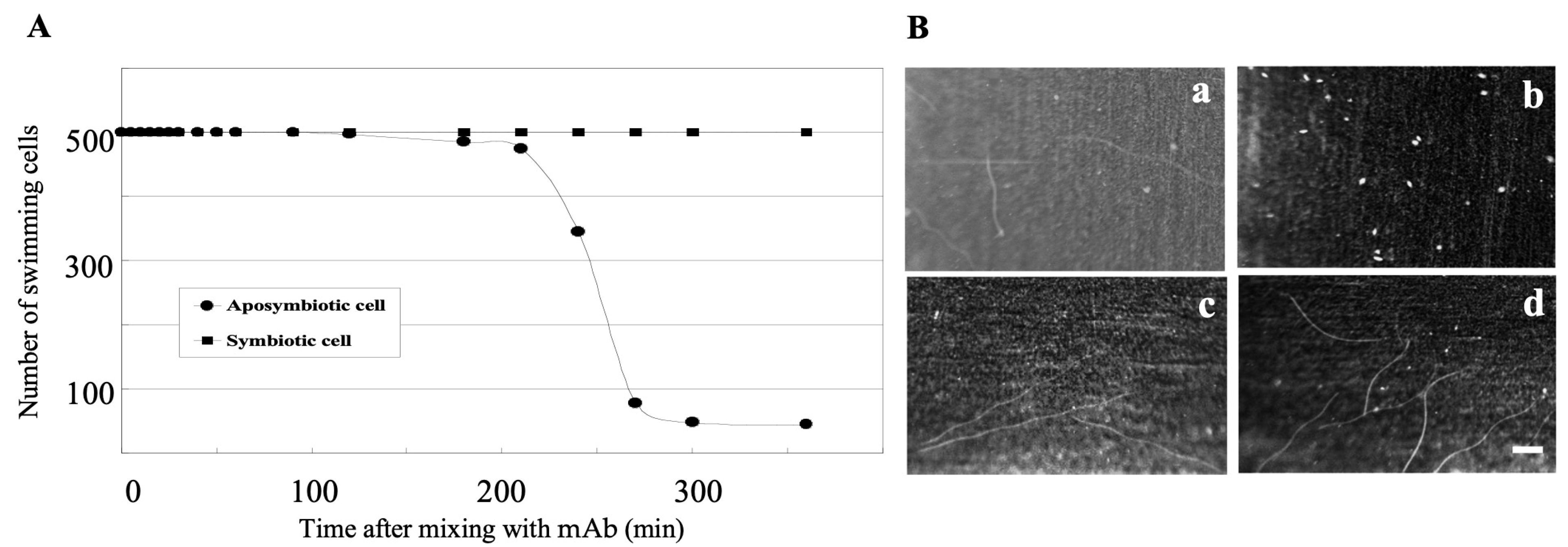 Microorganisms 13 00991 g002