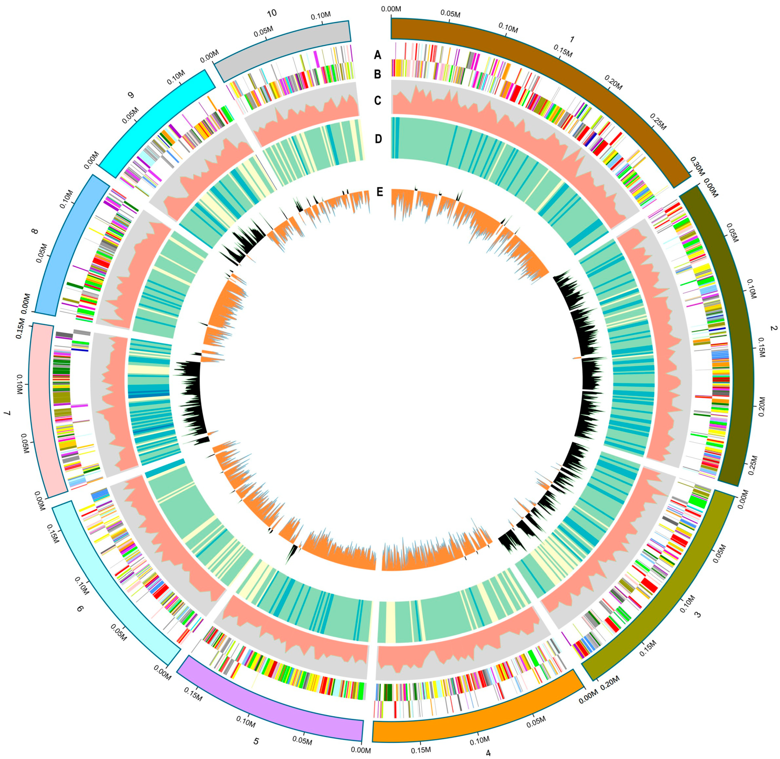 Microorganisms 13 00993 g004