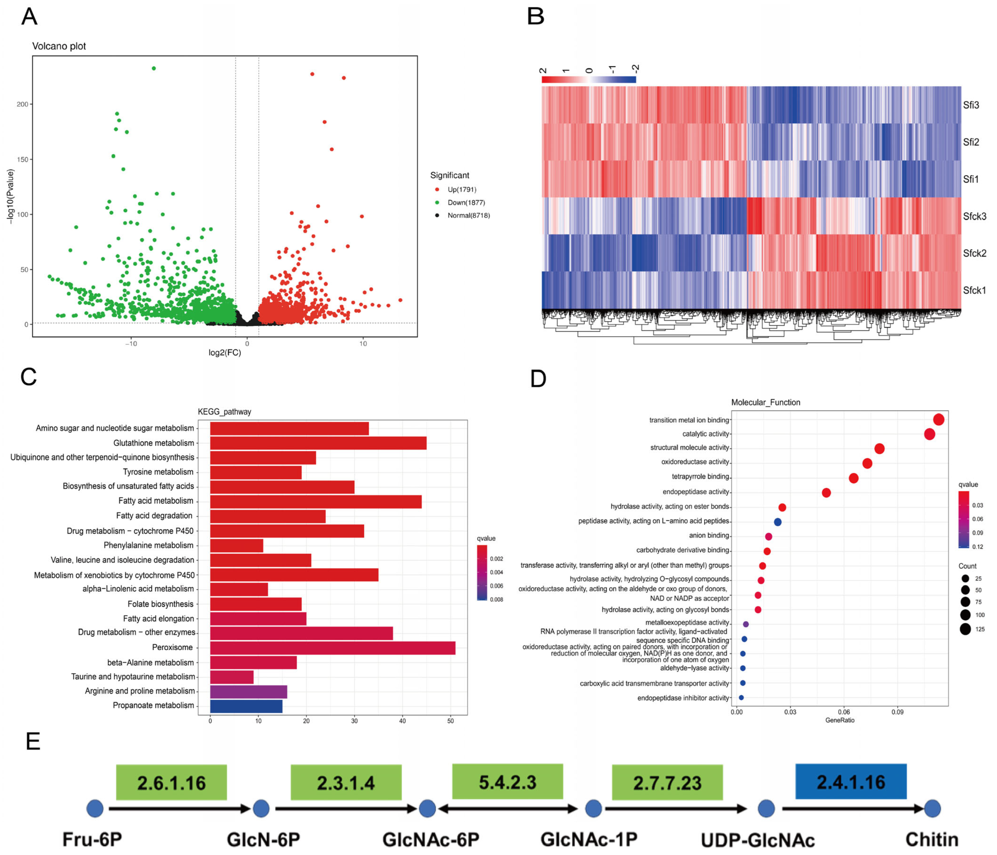 Microorganisms 13 00994 g004