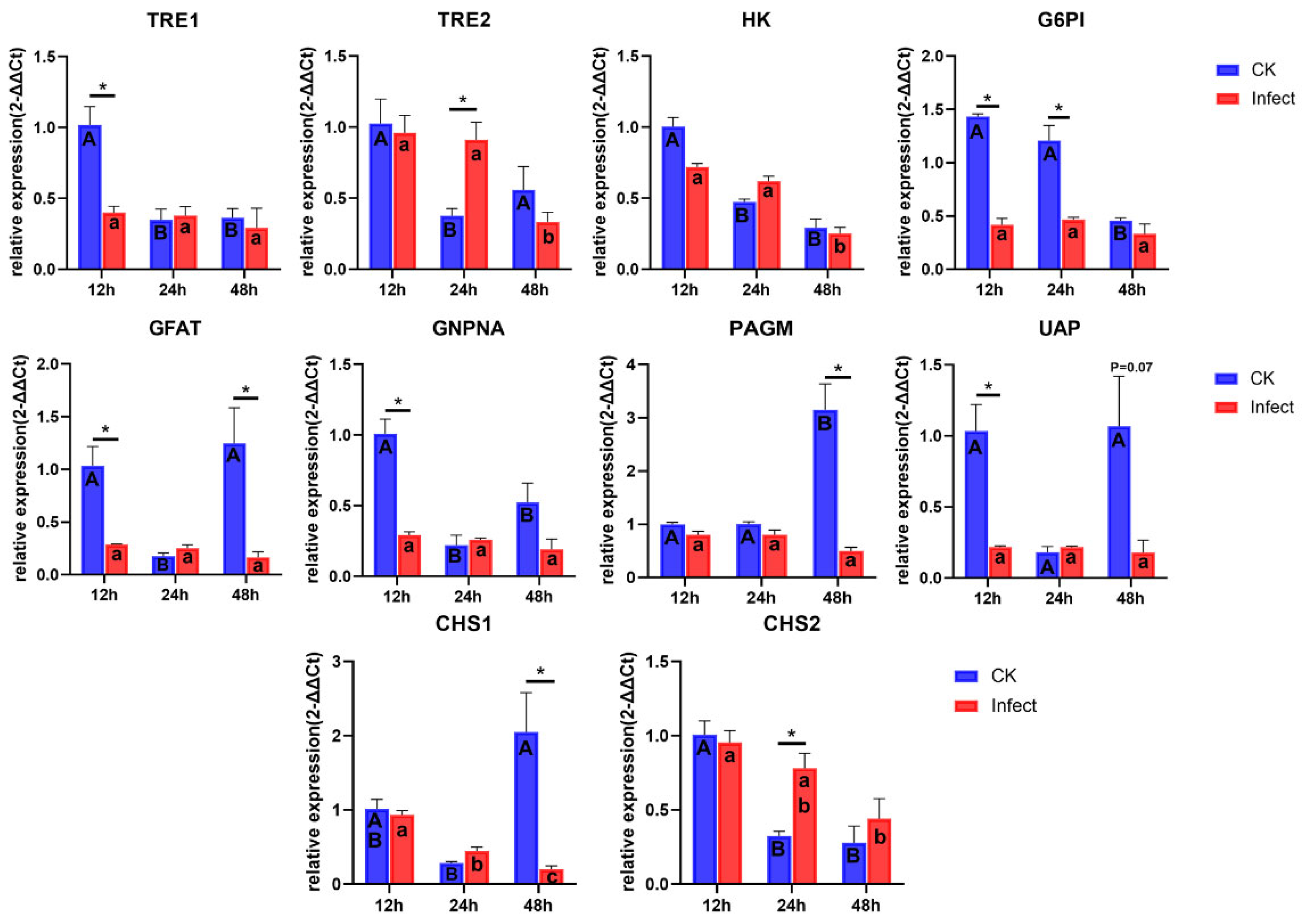 Microorganisms 13 00994 g005