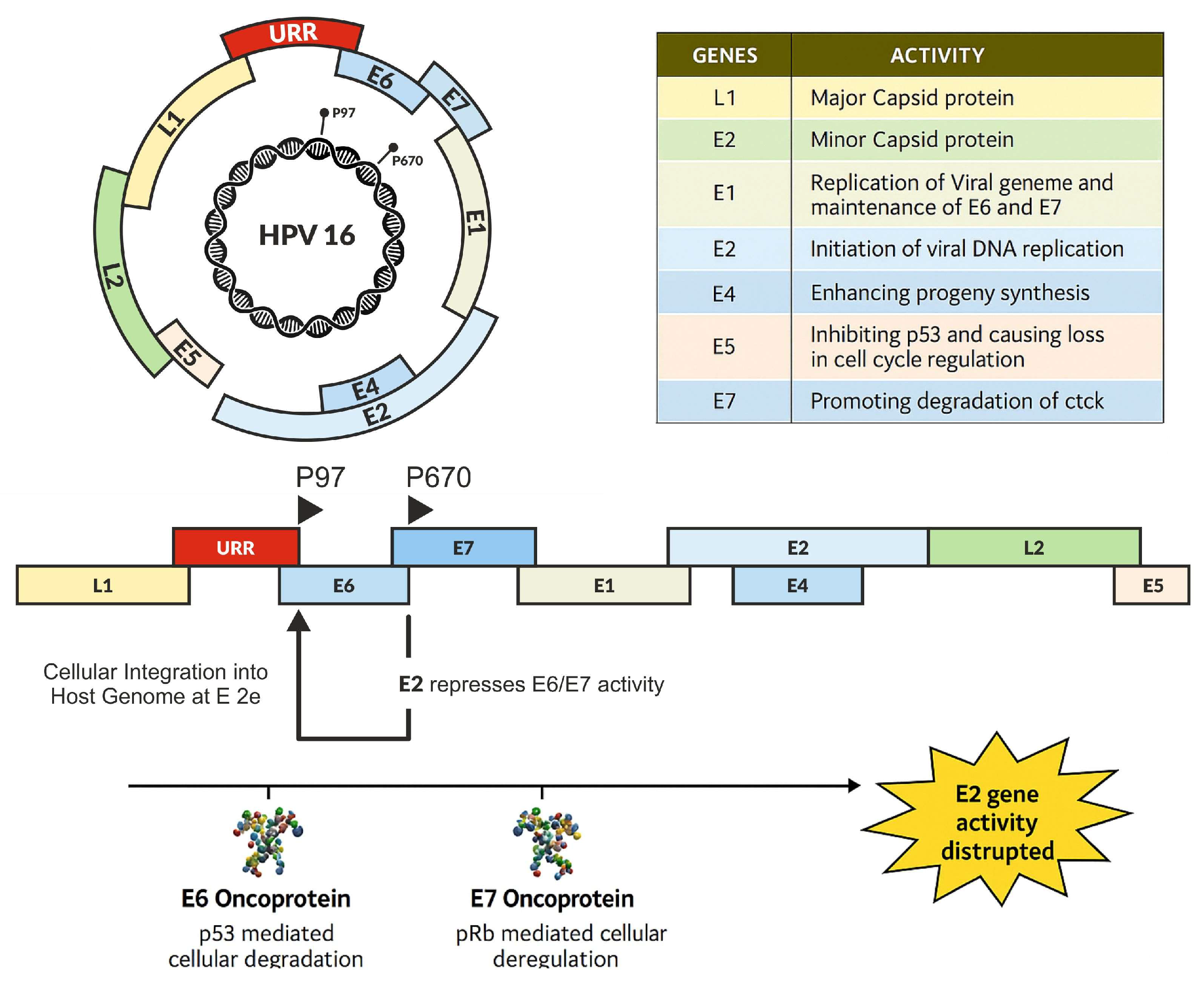 Microorganisms 13 01000 g002 Microorganisms 13 01000 g002
