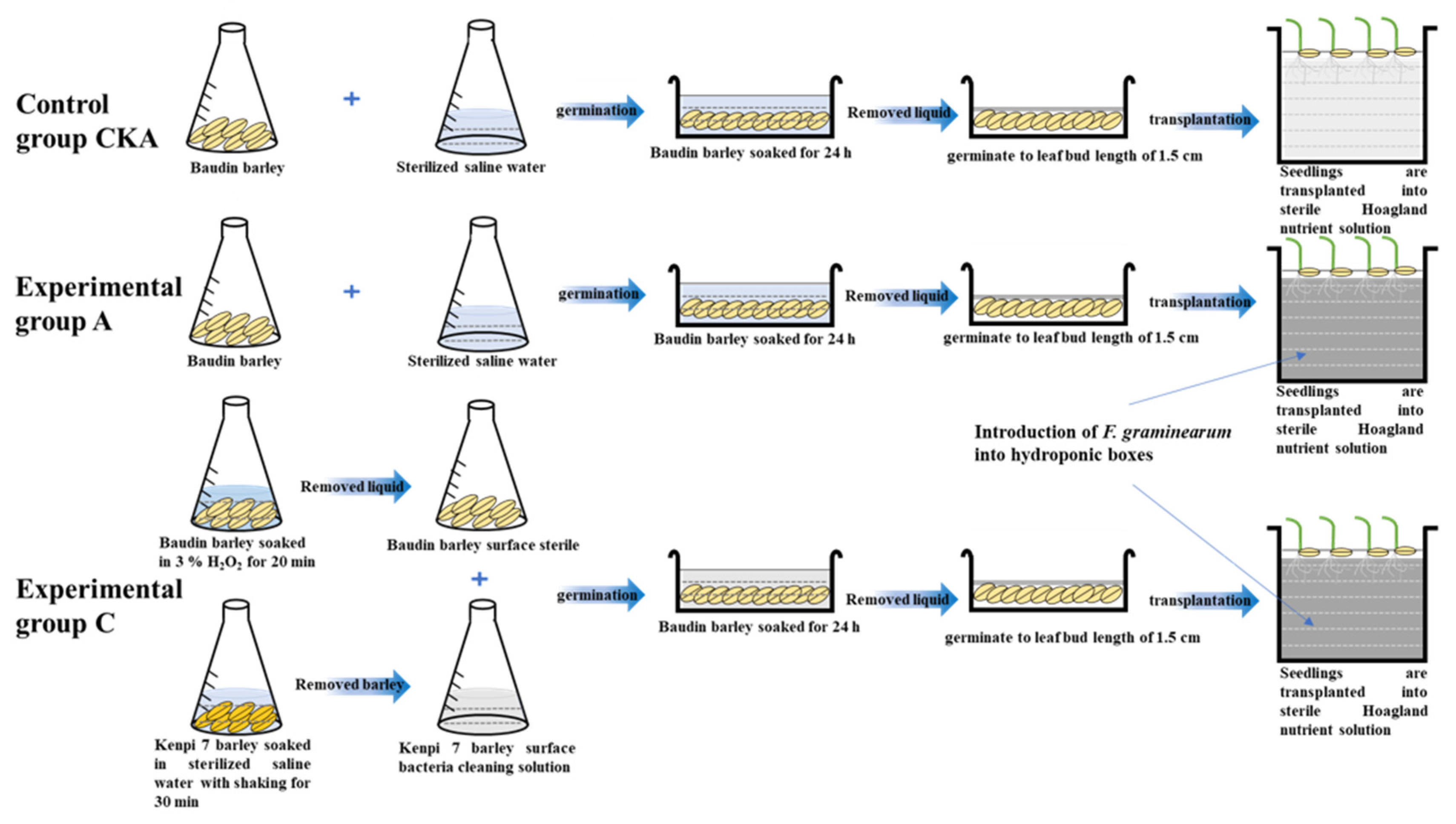 Microorganisms 13 01010 g001