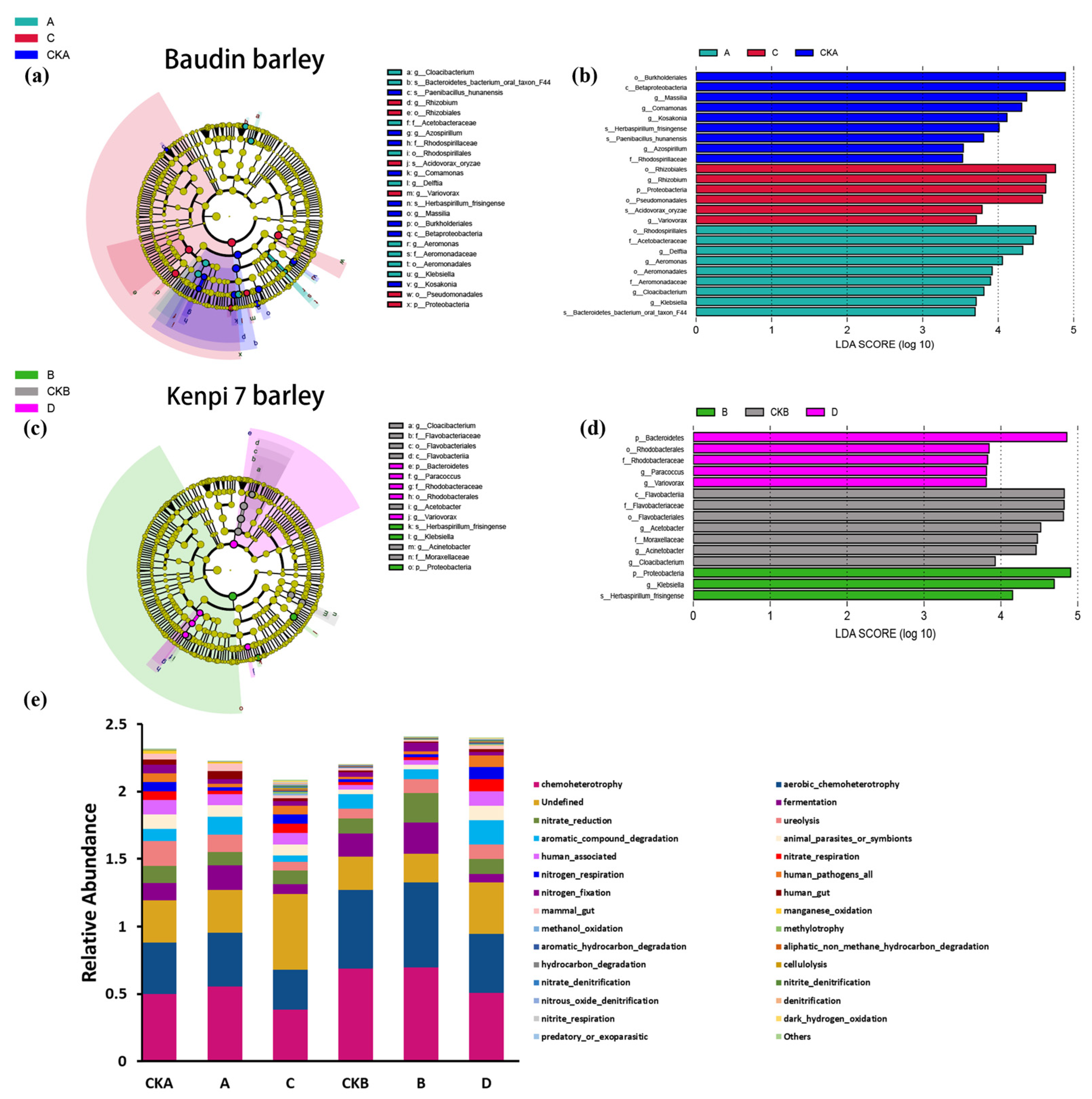 Microorganisms 13 01010 g005
