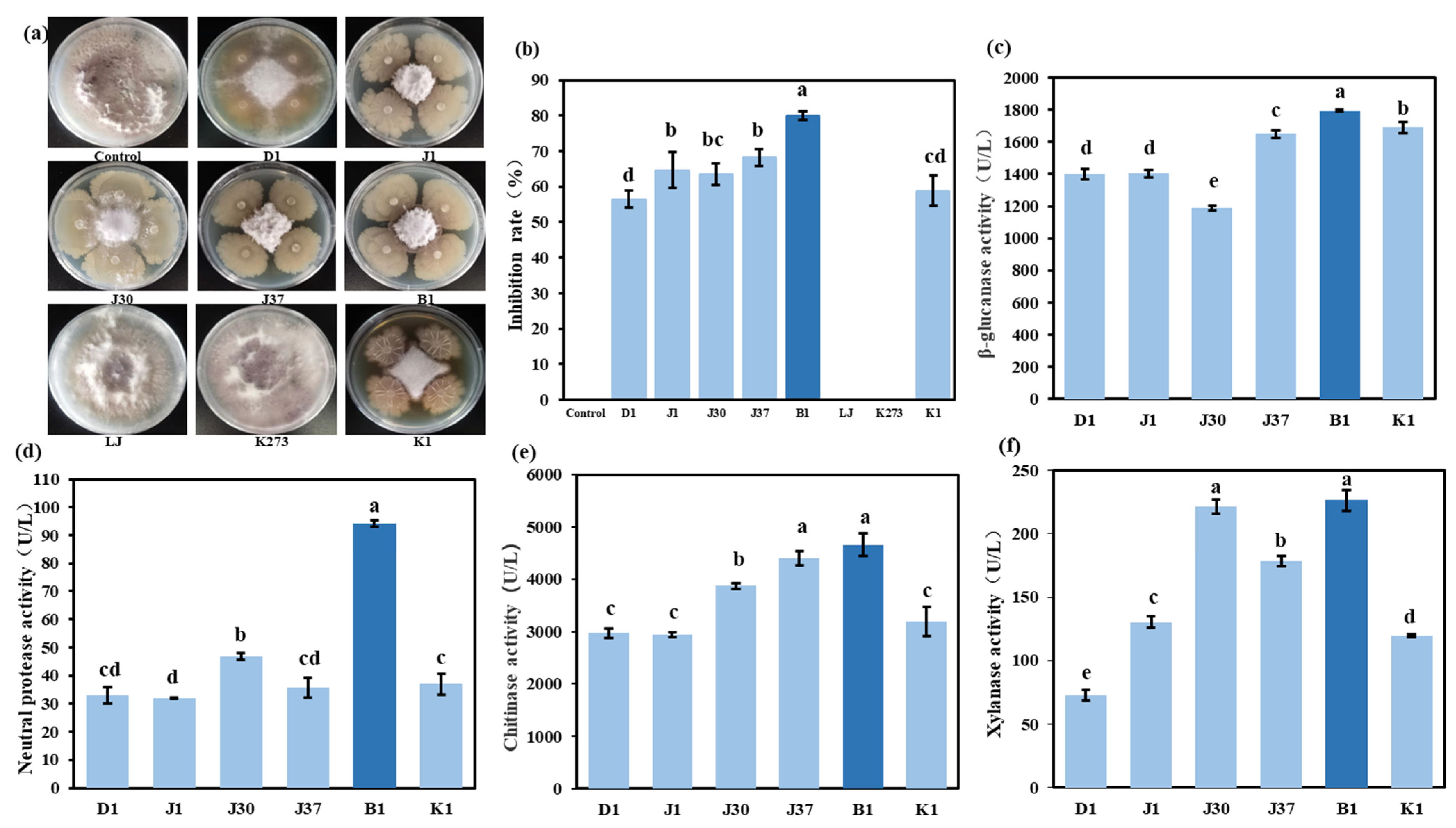 Microorganisms 13 01010 g006