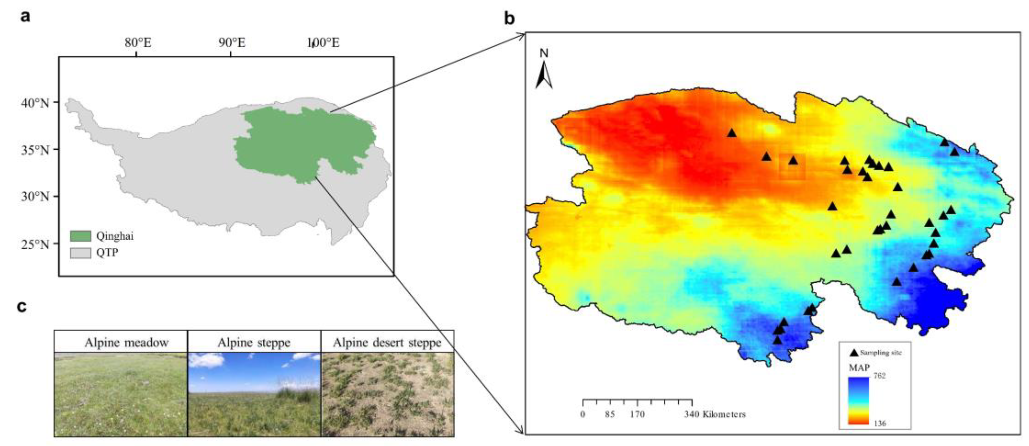 Microorganisms 13 01011 g001