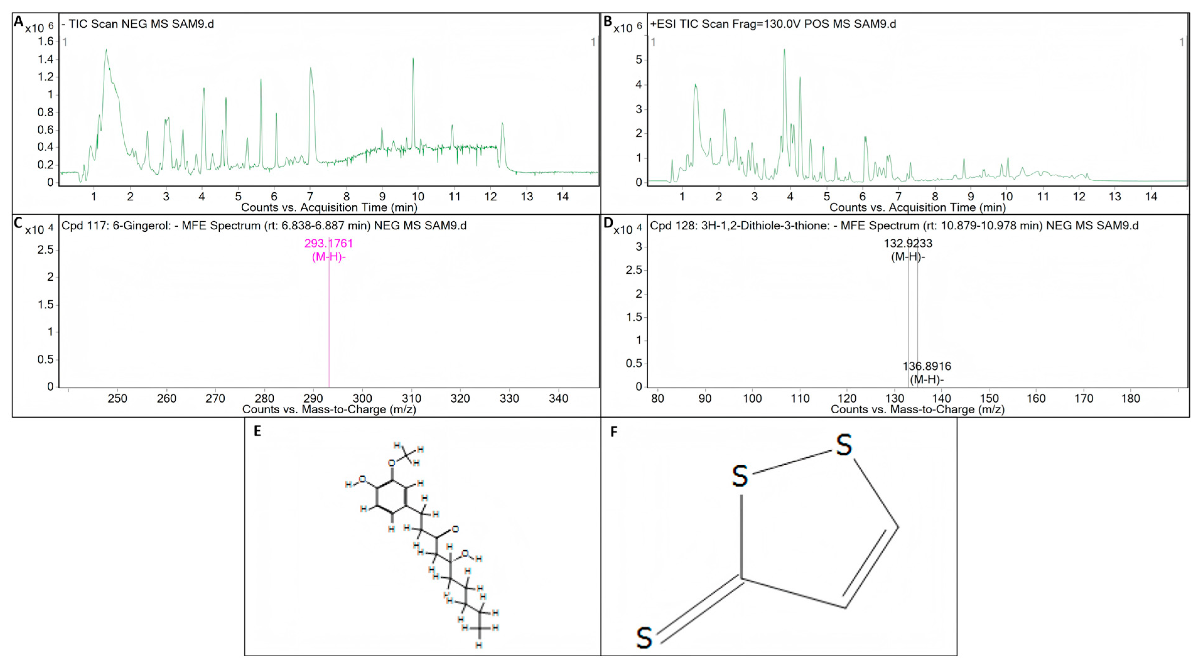 Microorganisms 13 01012 g008