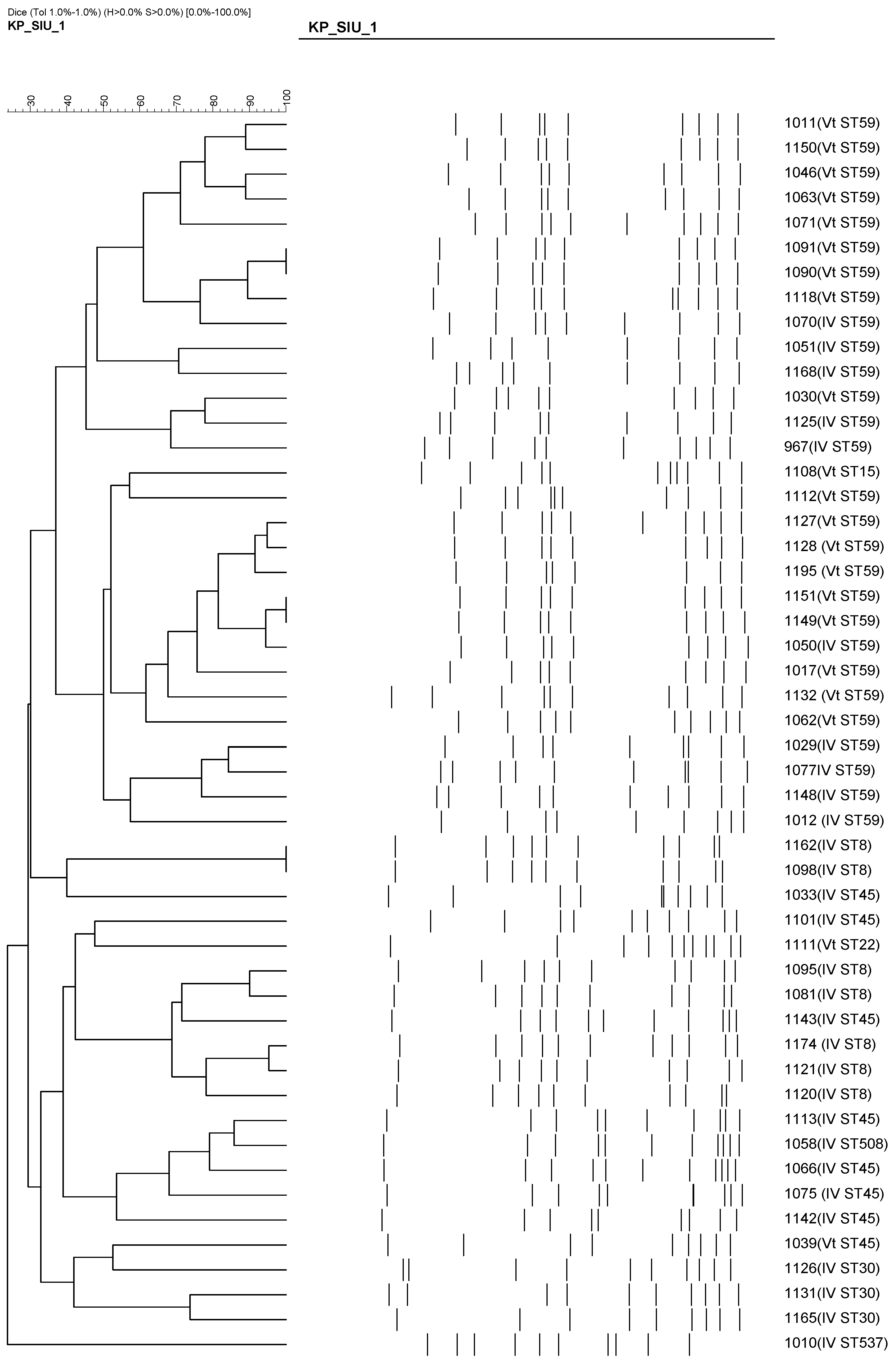 Microorganisms 13 01013 g004