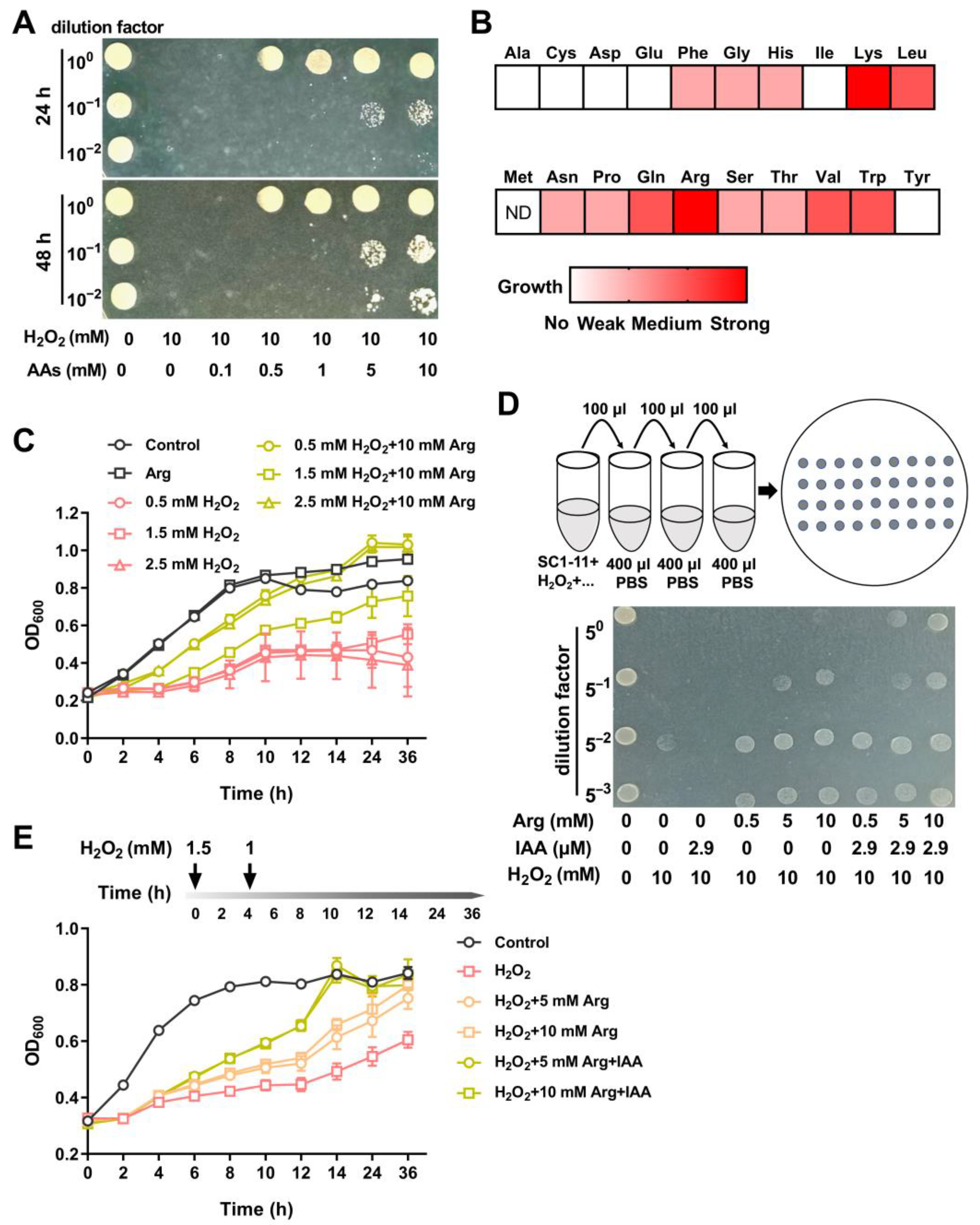 Microorganisms 13 01014 g005