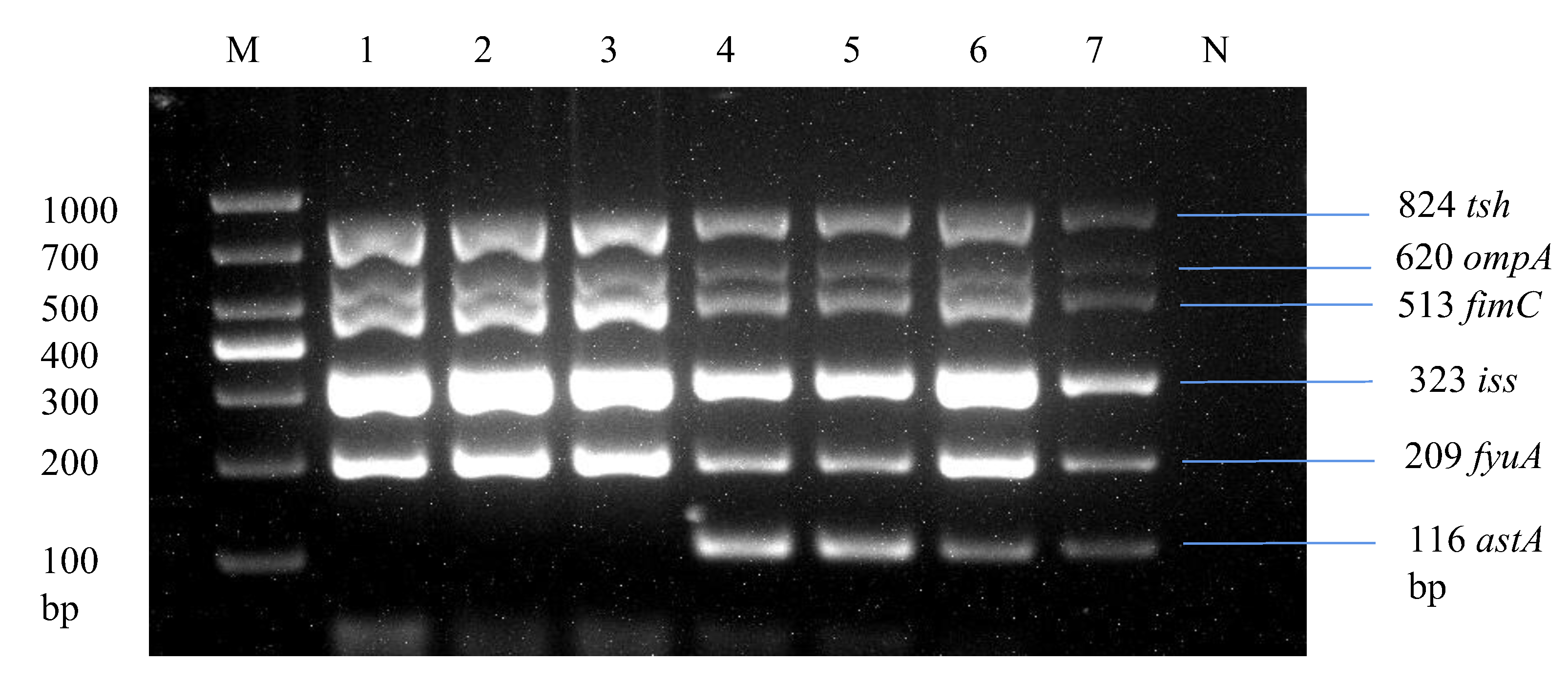 Microorganisms 13 01017 g006