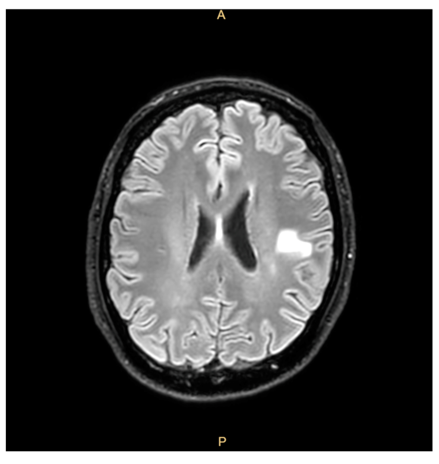 Microorganisms 13 01019 g001