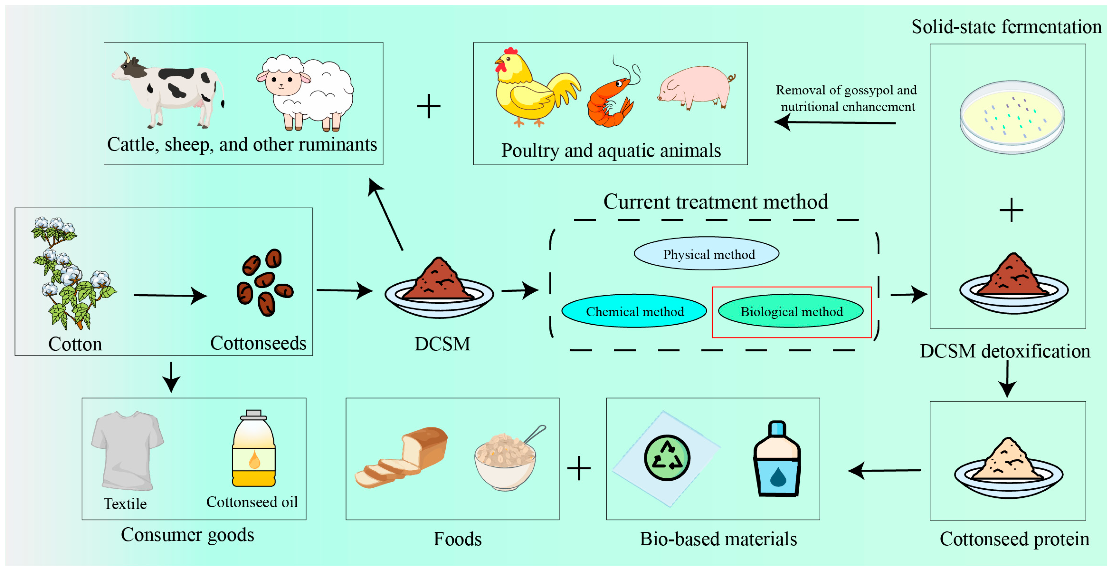 Microorganisms 13 01020 g001