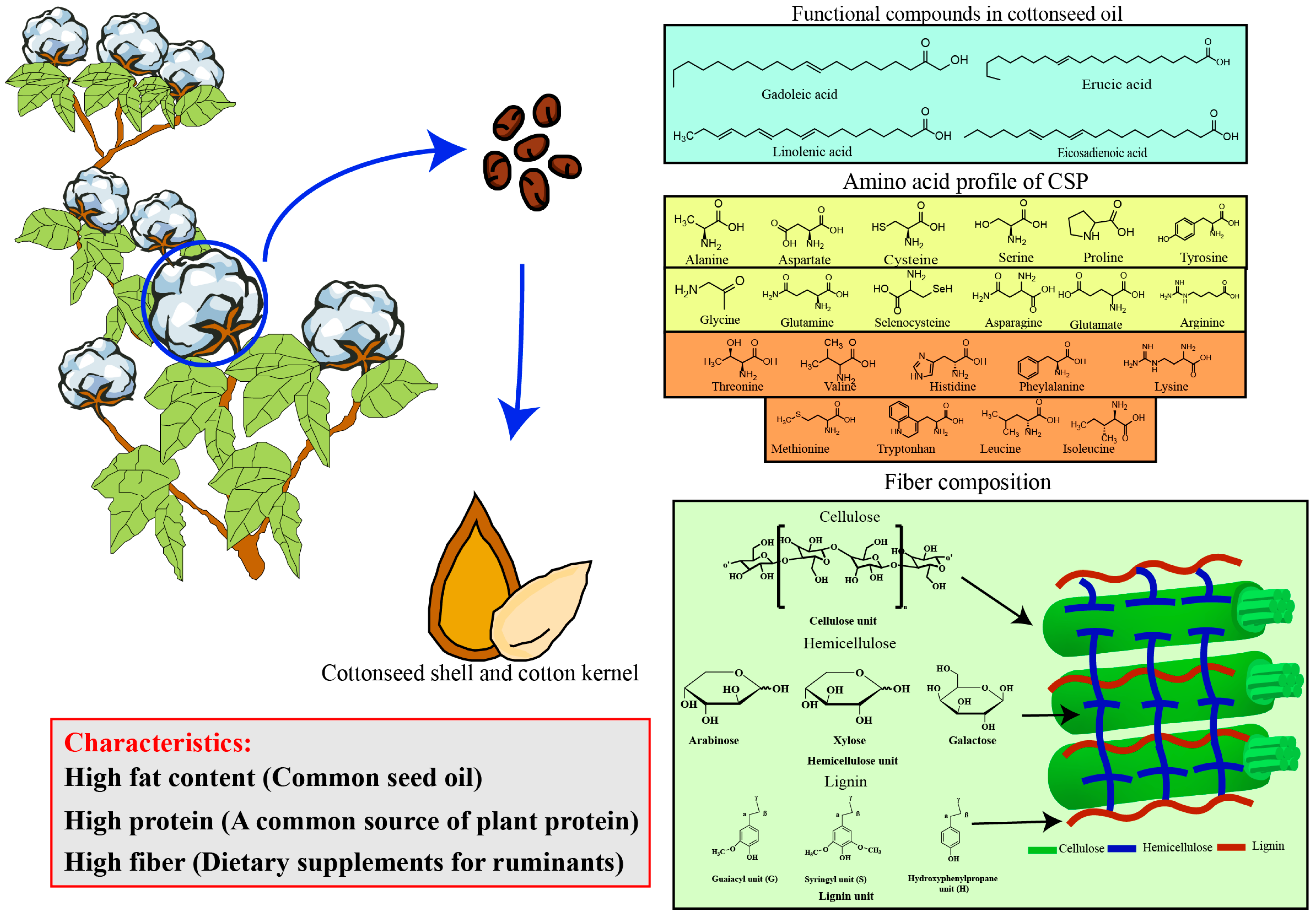 Microorganisms 13 01020 g002