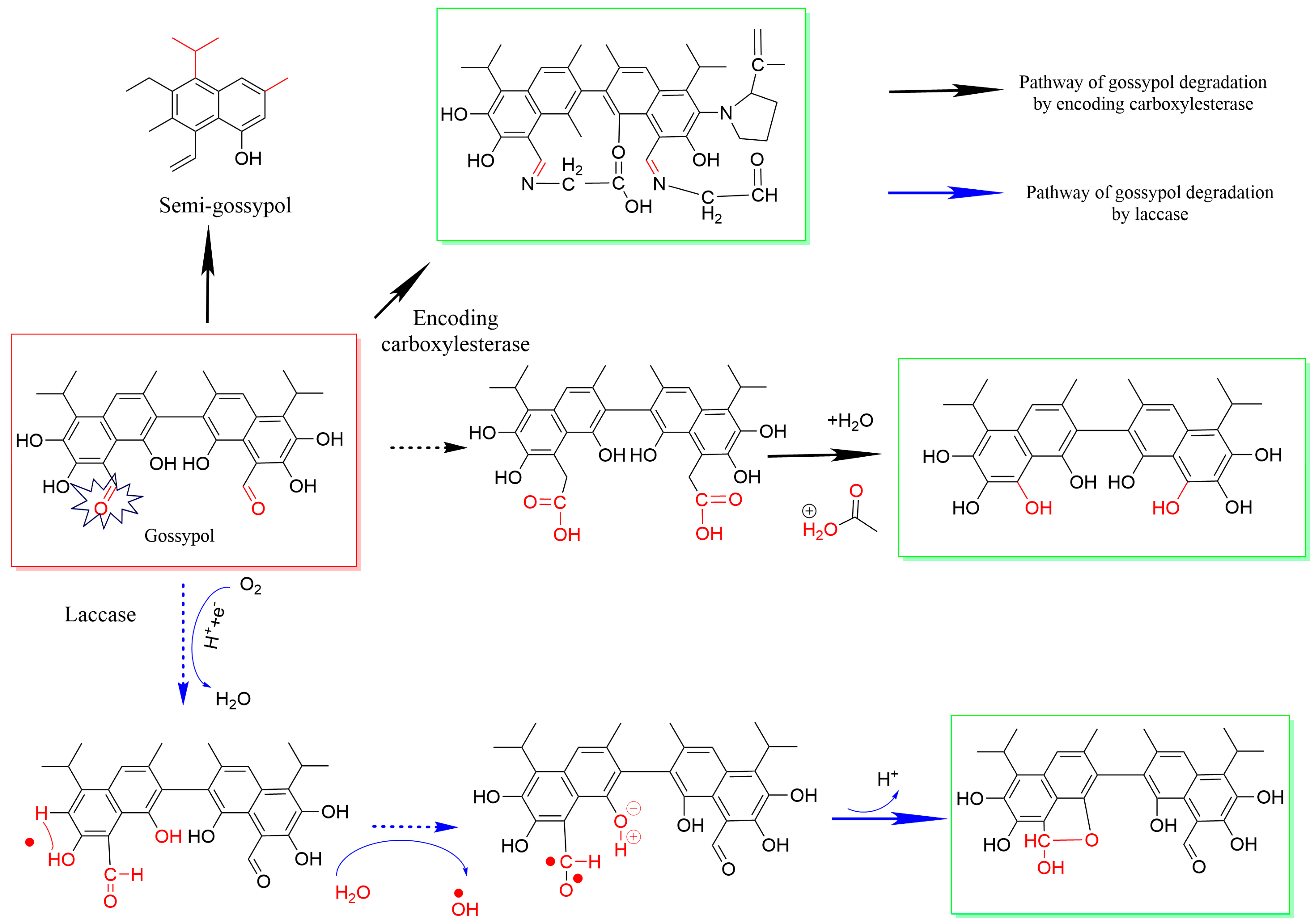 Microorganisms 13 01020 g004