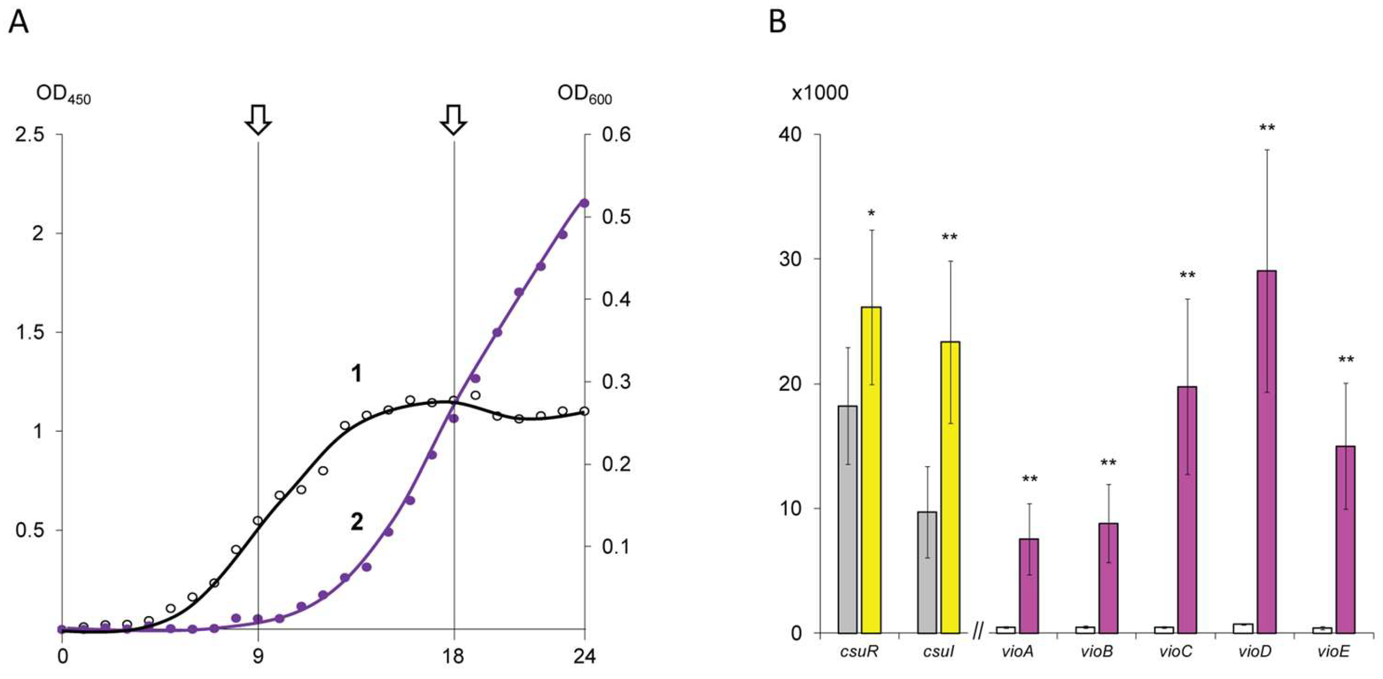 Microorganisms 13 01021 g001