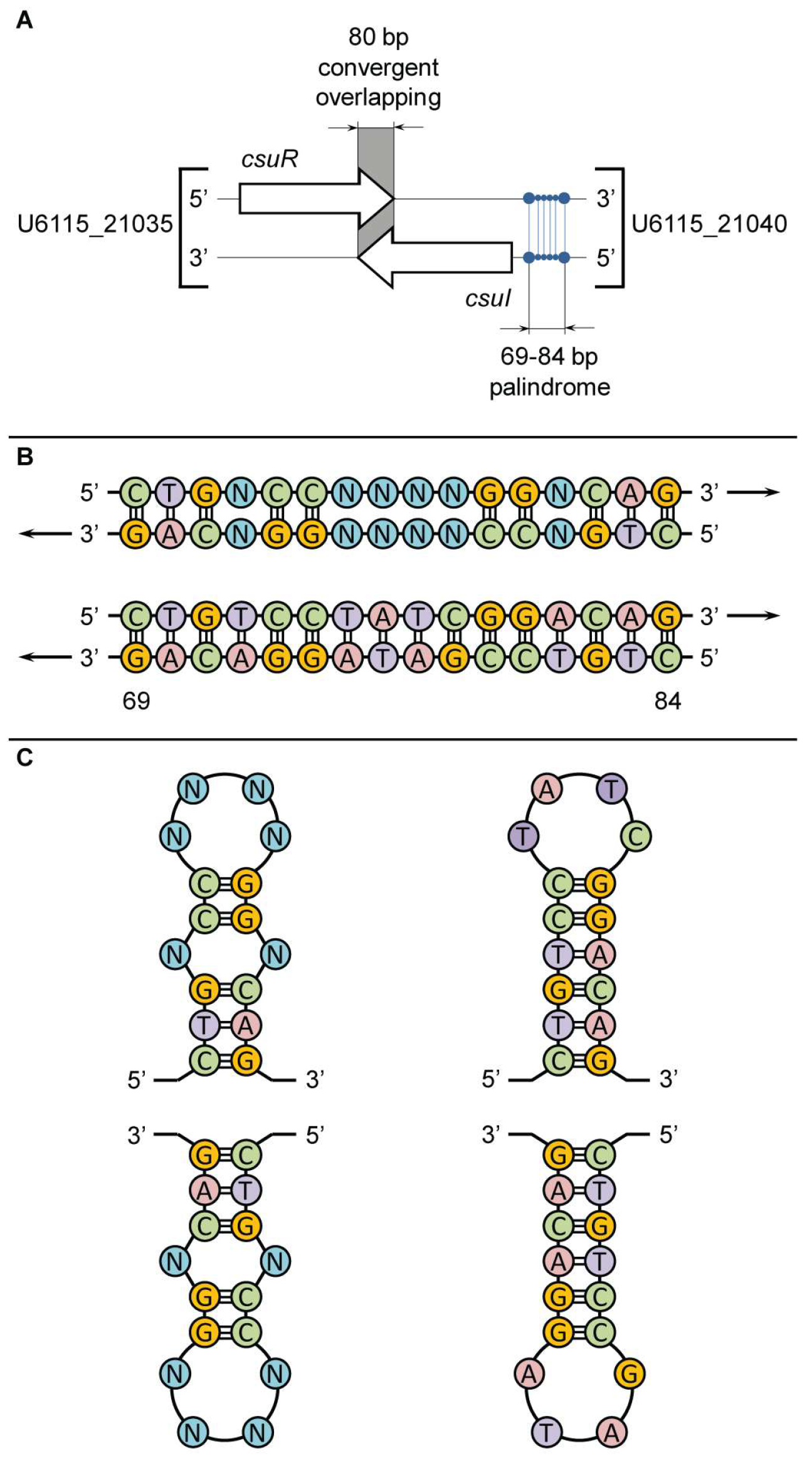 Microorganisms 13 01021 g003