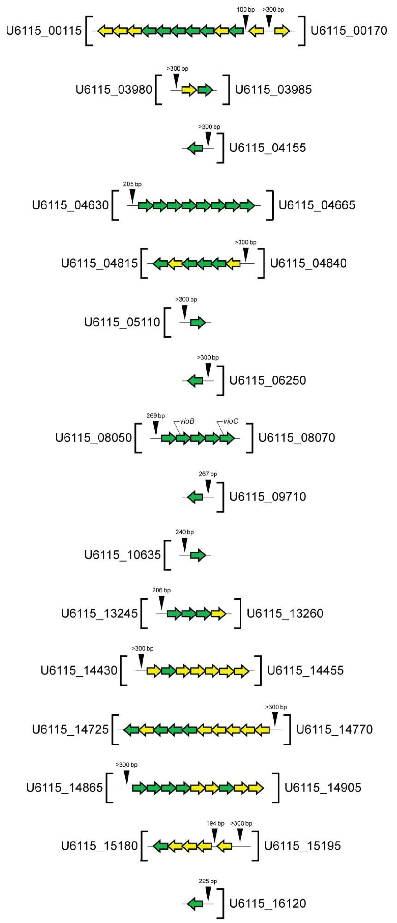 Microorganisms 13 01021 g004