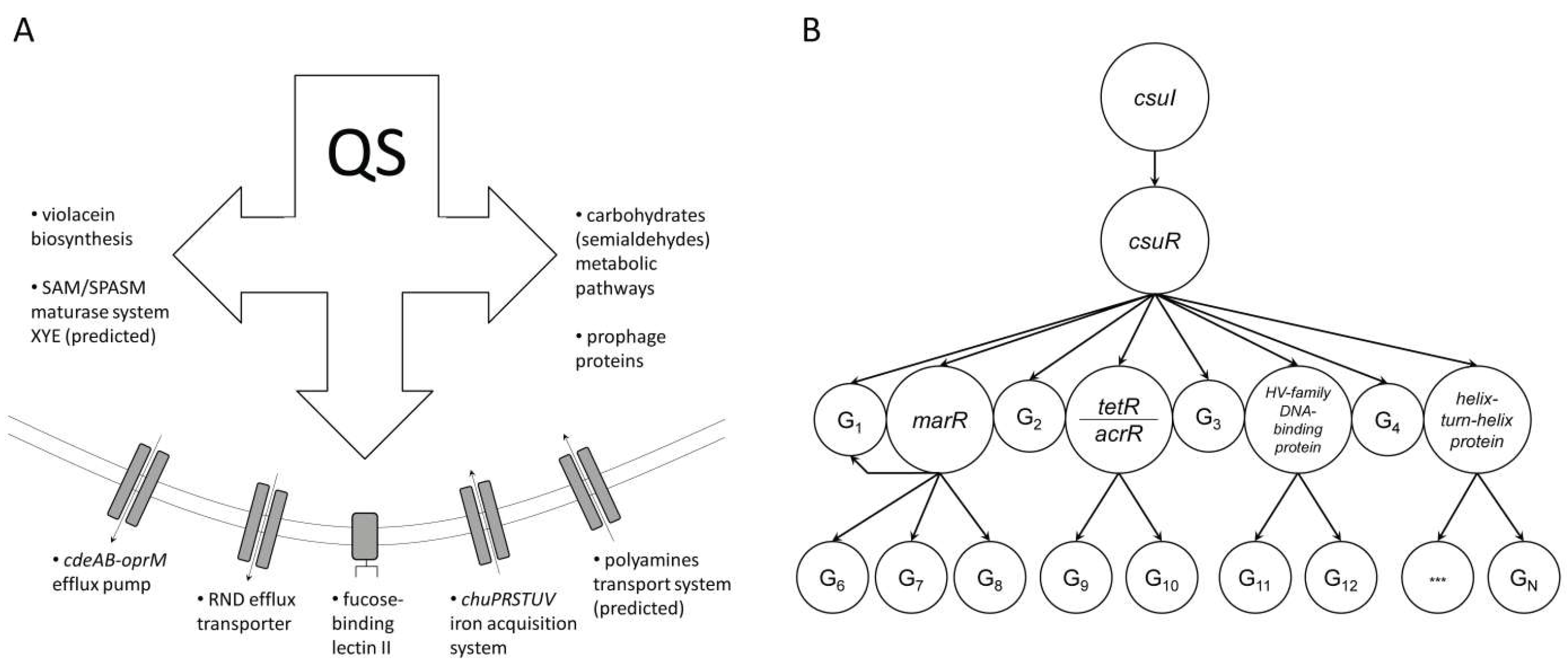 Microorganisms 13 01021 g005