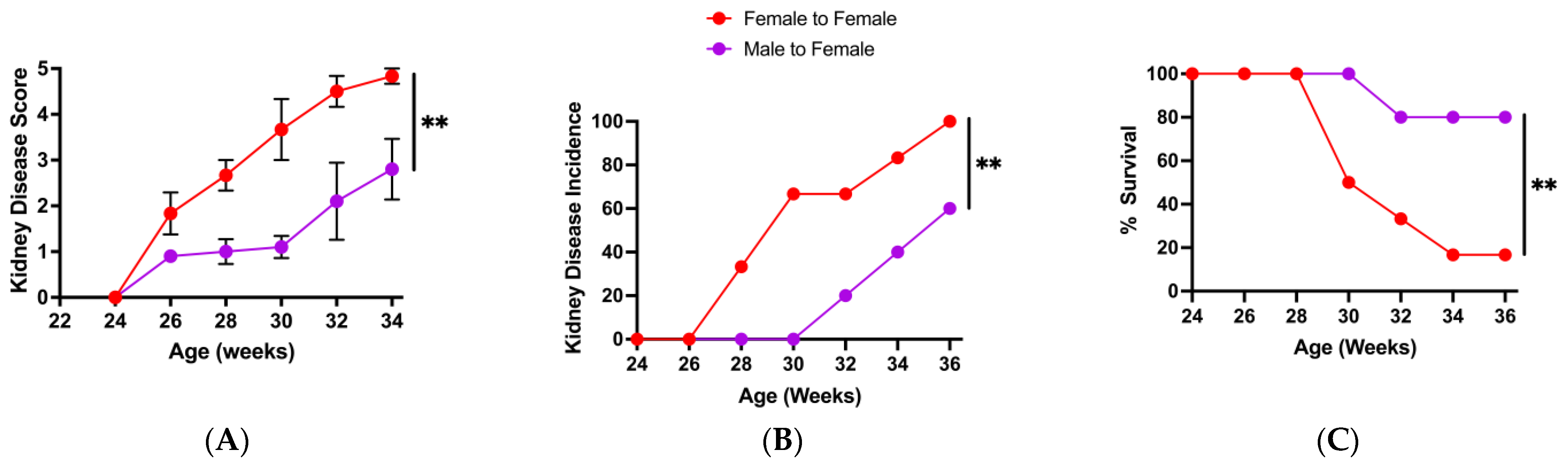 Microorganisms 13 01023 g002