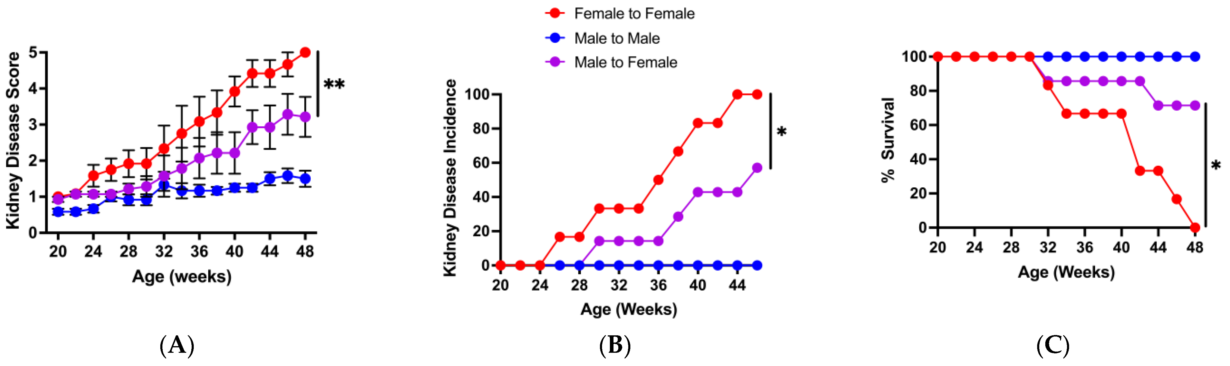 Microorganisms 13 01023 g005