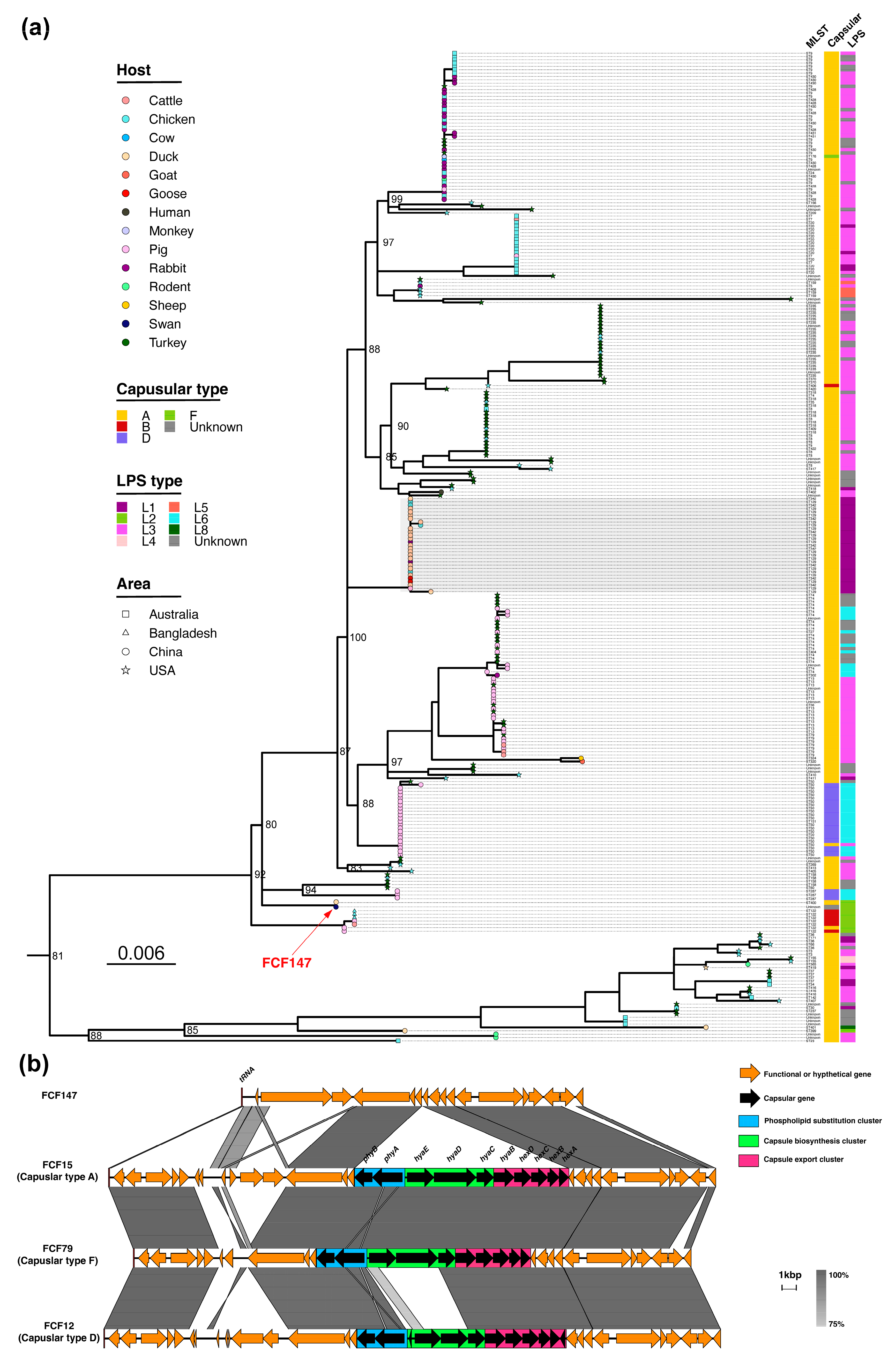 Microorganisms 13 01024 g001 Microorganisms 13 01024 g001