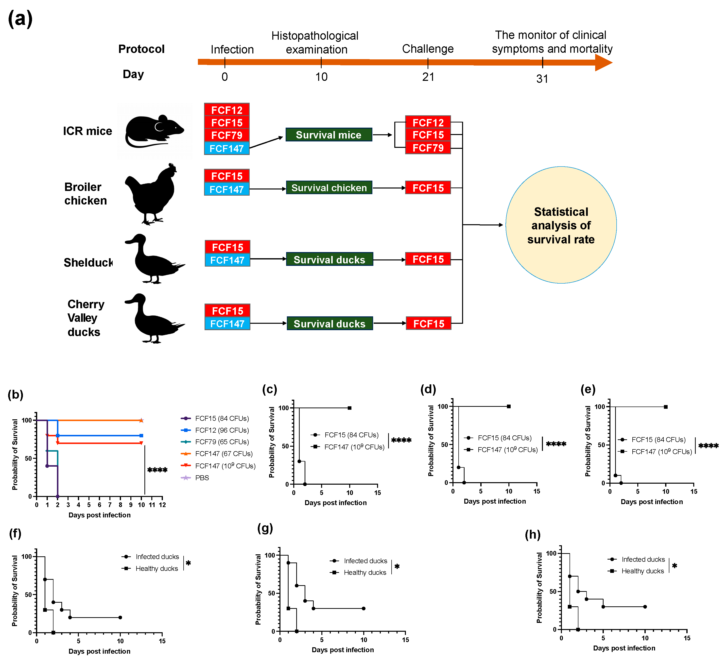 Microorganisms 13 01024 g004 Microorganisms 13 01024 g004