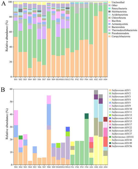 Deep-Sea Cold Seep Campylobacterota: Diversity, Growth