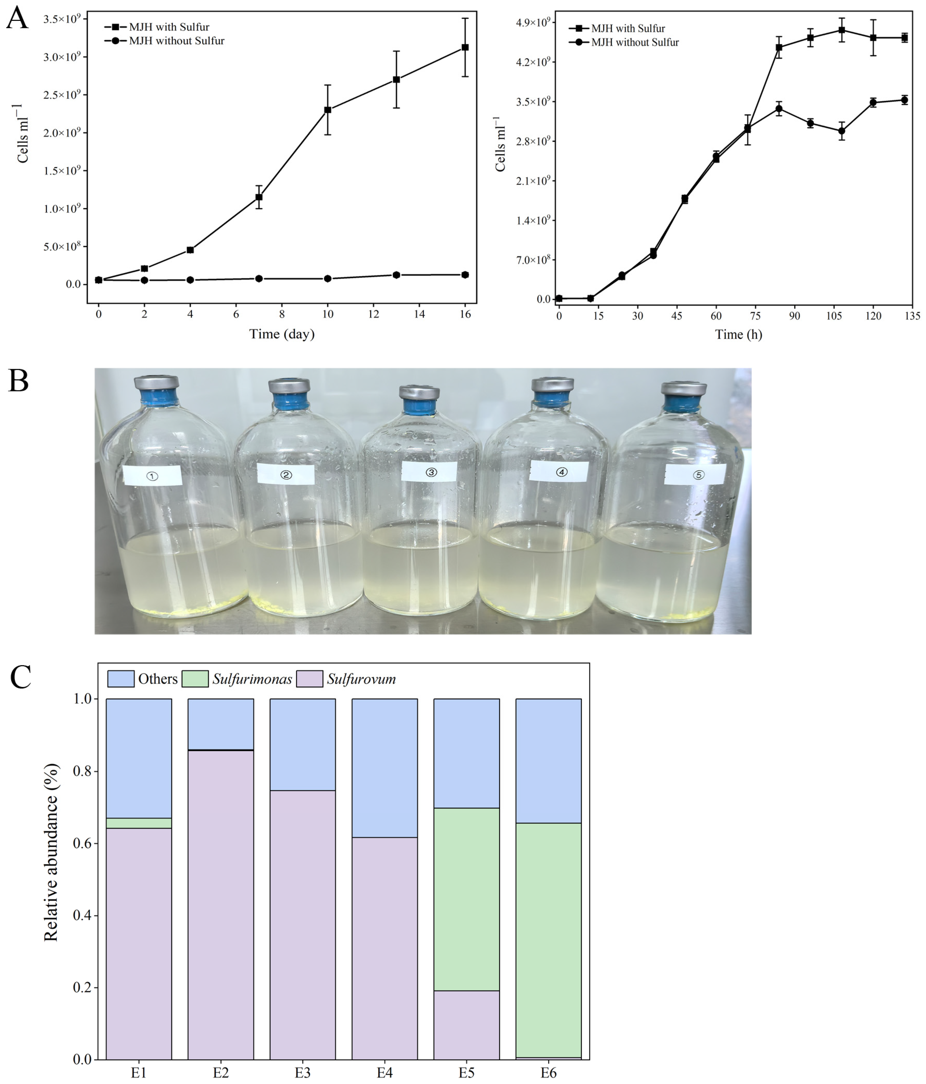 Microorganisms 13 01028 g002