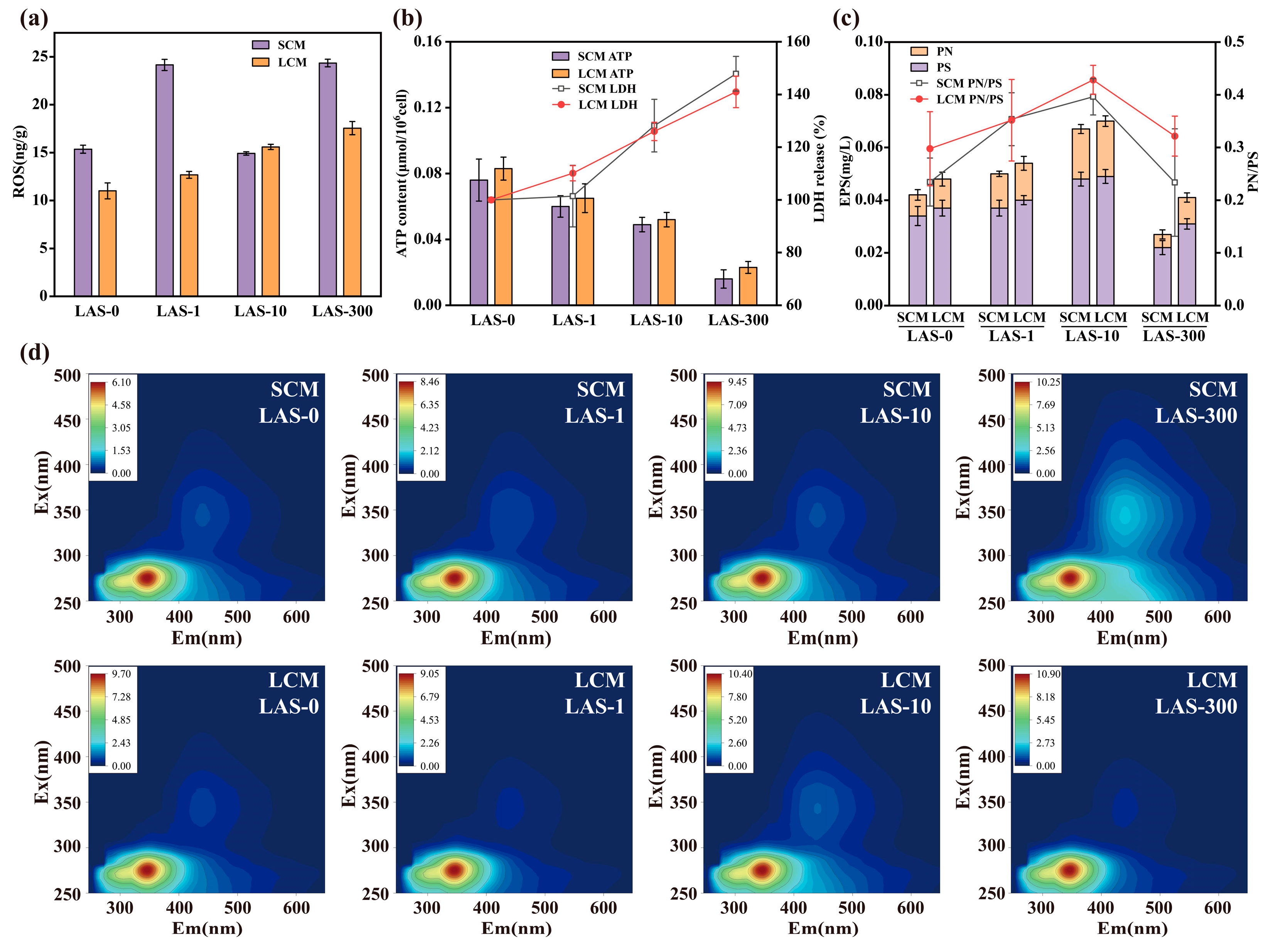 Microorganisms 13 01031 g002