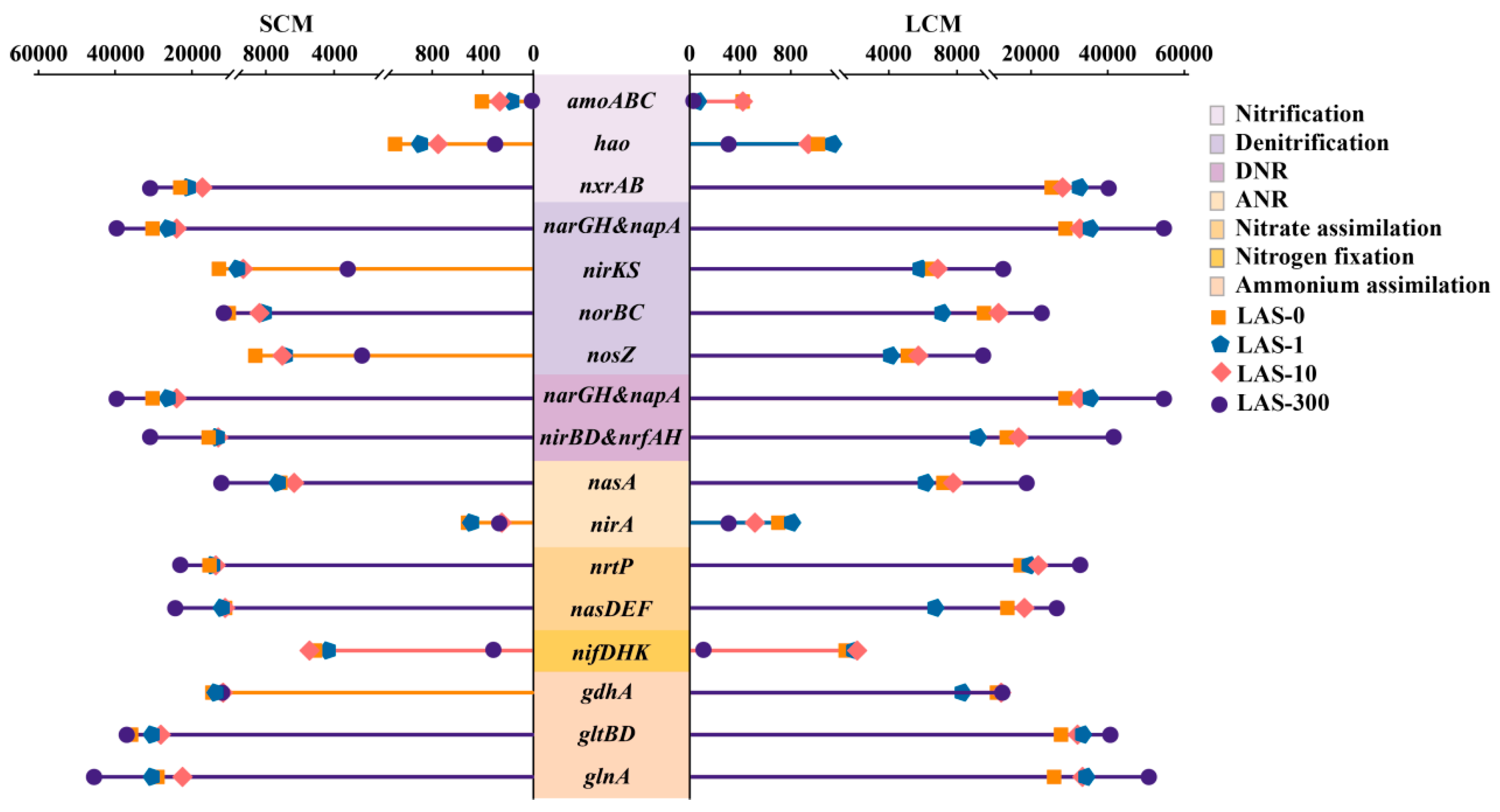 Microorganisms 13 01031 g004