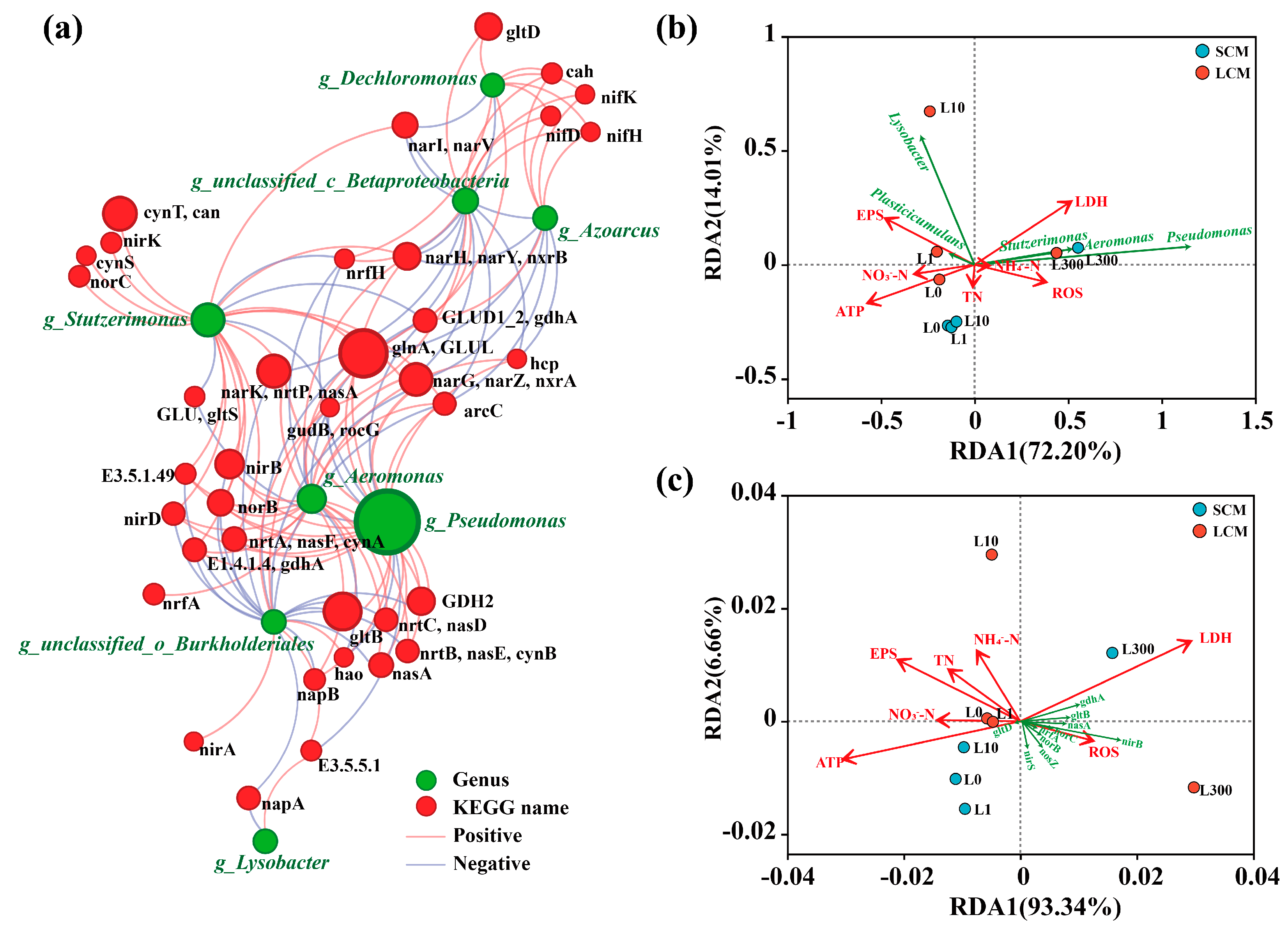 Microorganisms 13 01031 g005