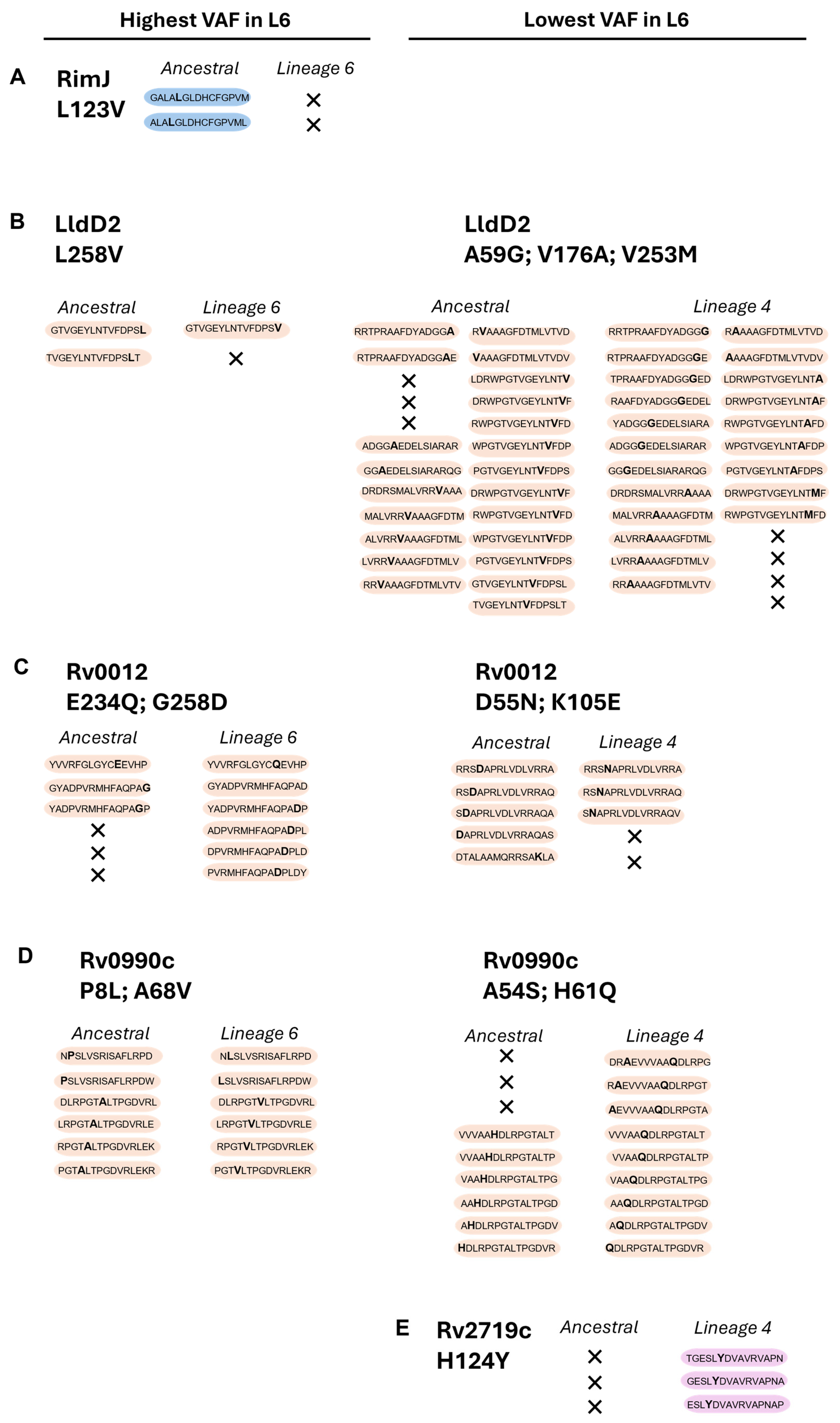 Microorganisms 13 01032 g003
