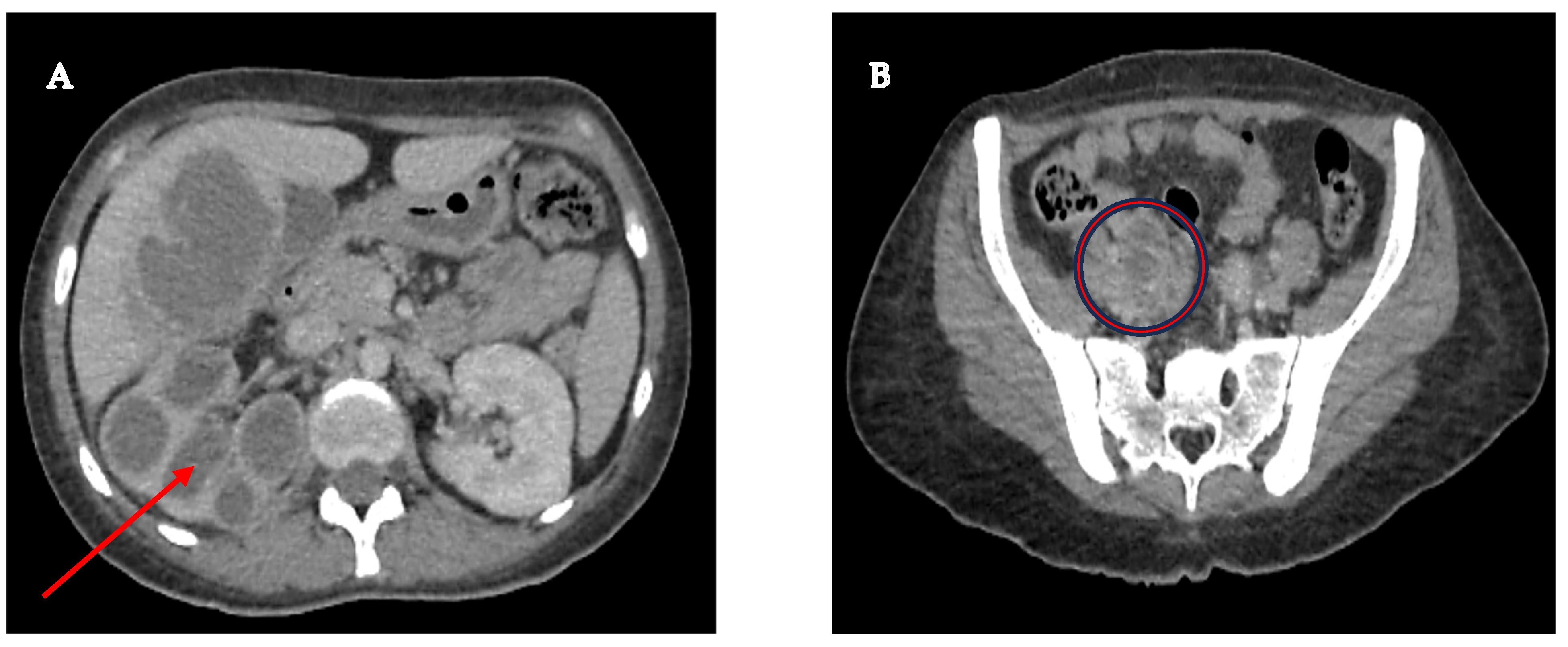 Microorganisms 13 01033 g001 Microorganisms 13 01033 g001