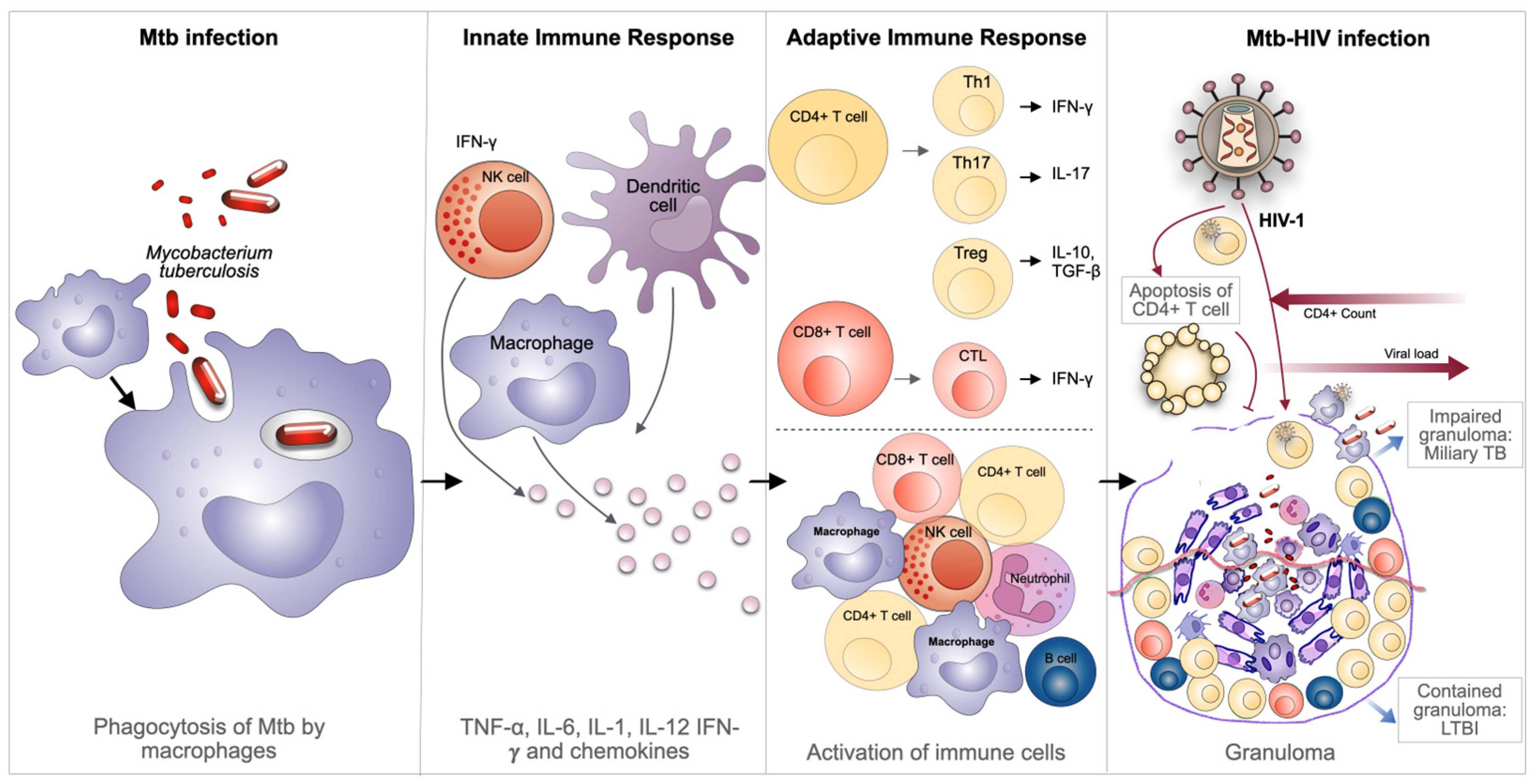 Microorganisms 13 01040 g001