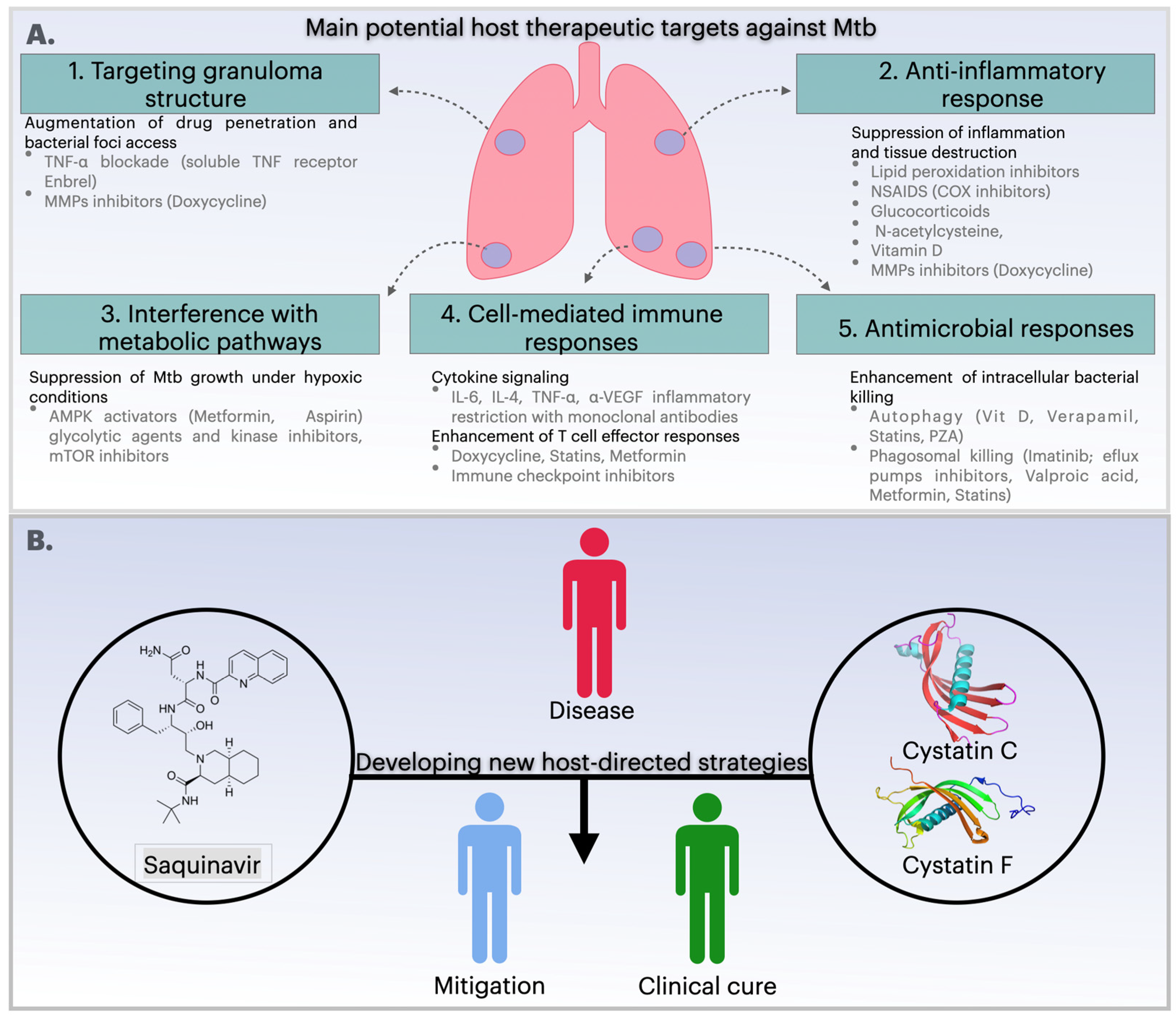 Microorganisms 13 01040 g002