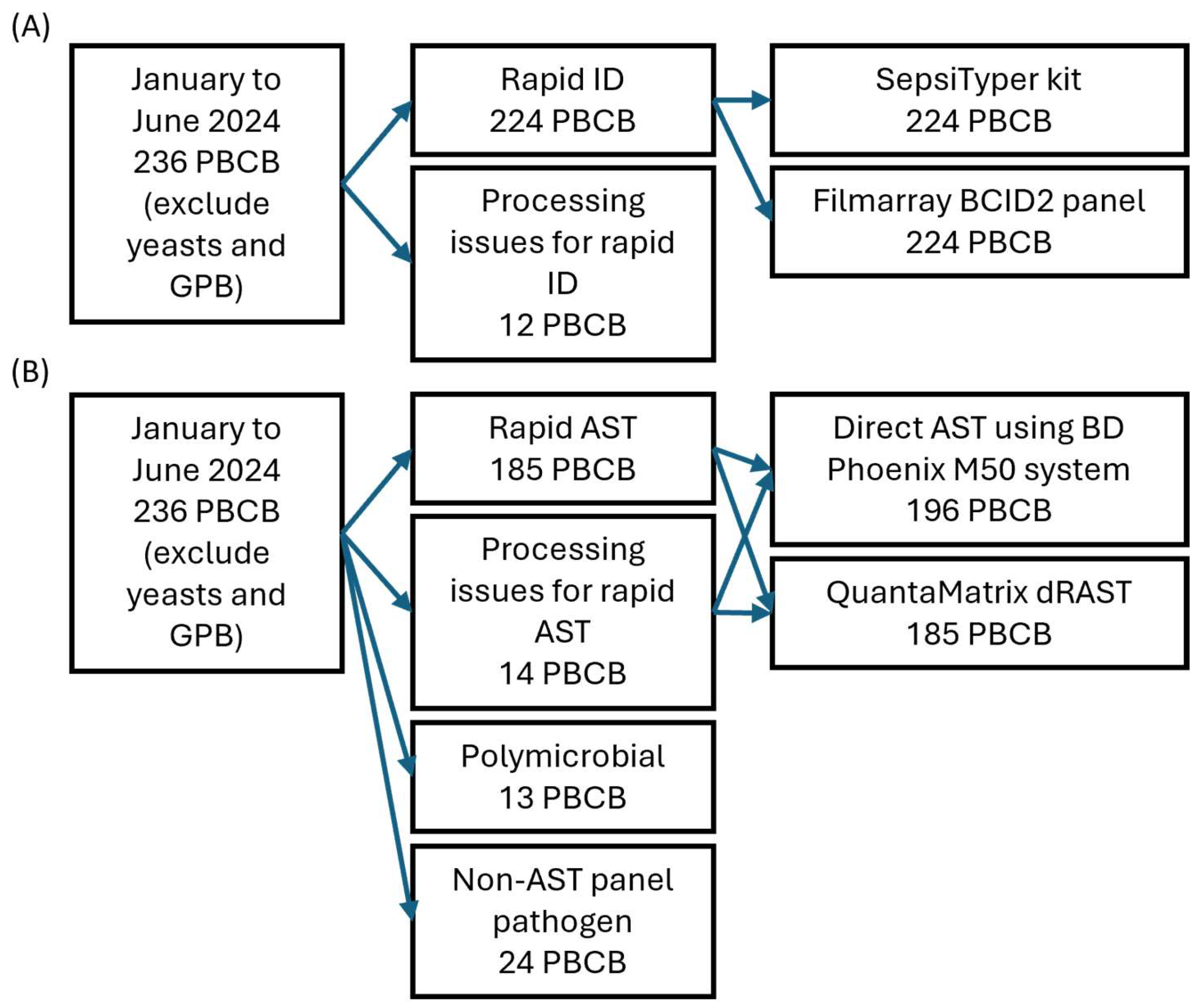 Microorganisms 13 01041 g001