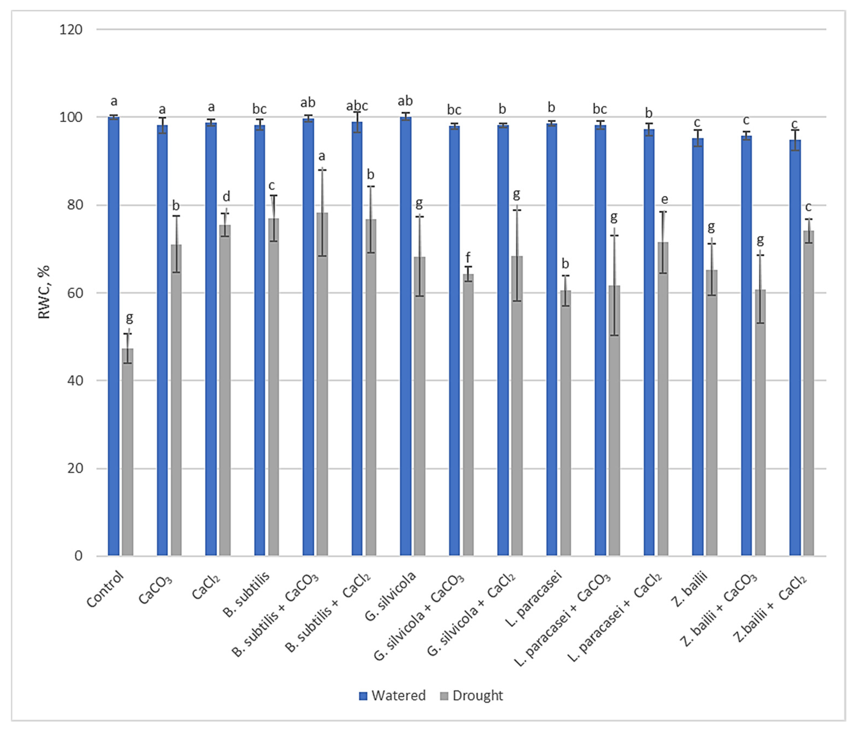 Microorganisms 13 01042 g001